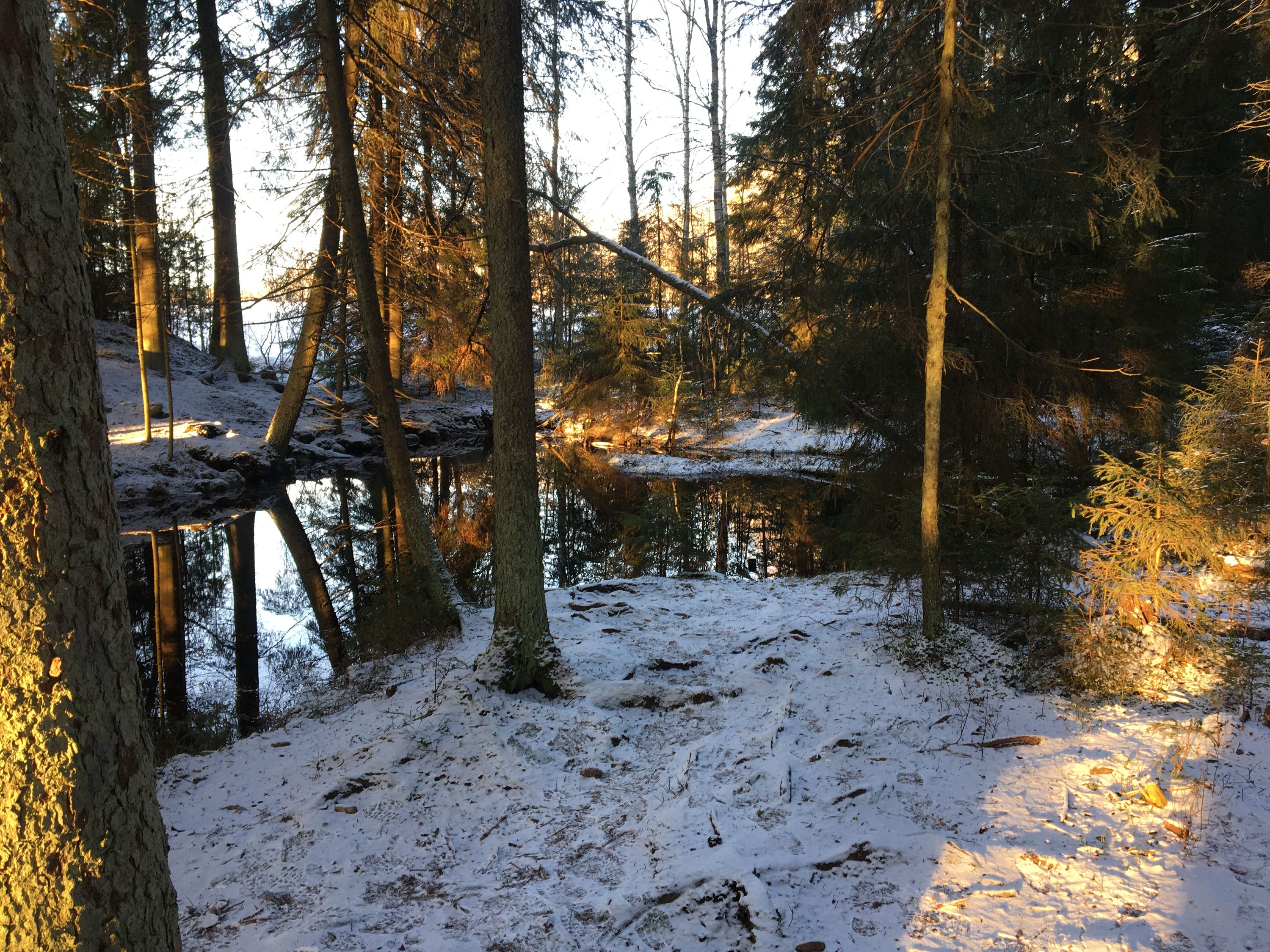 photo 28-12-2019, 12 15 25