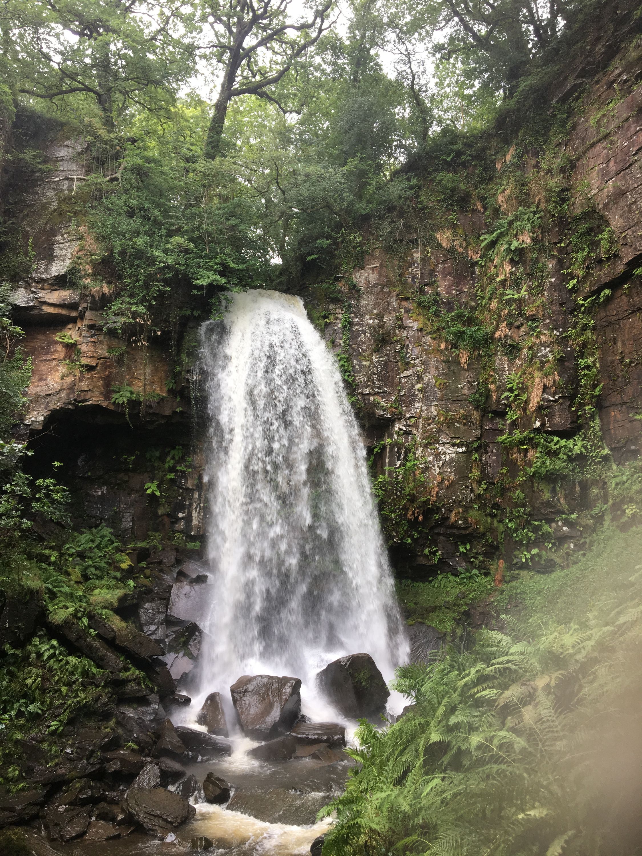 photo 11-08-2019, 12 36 10