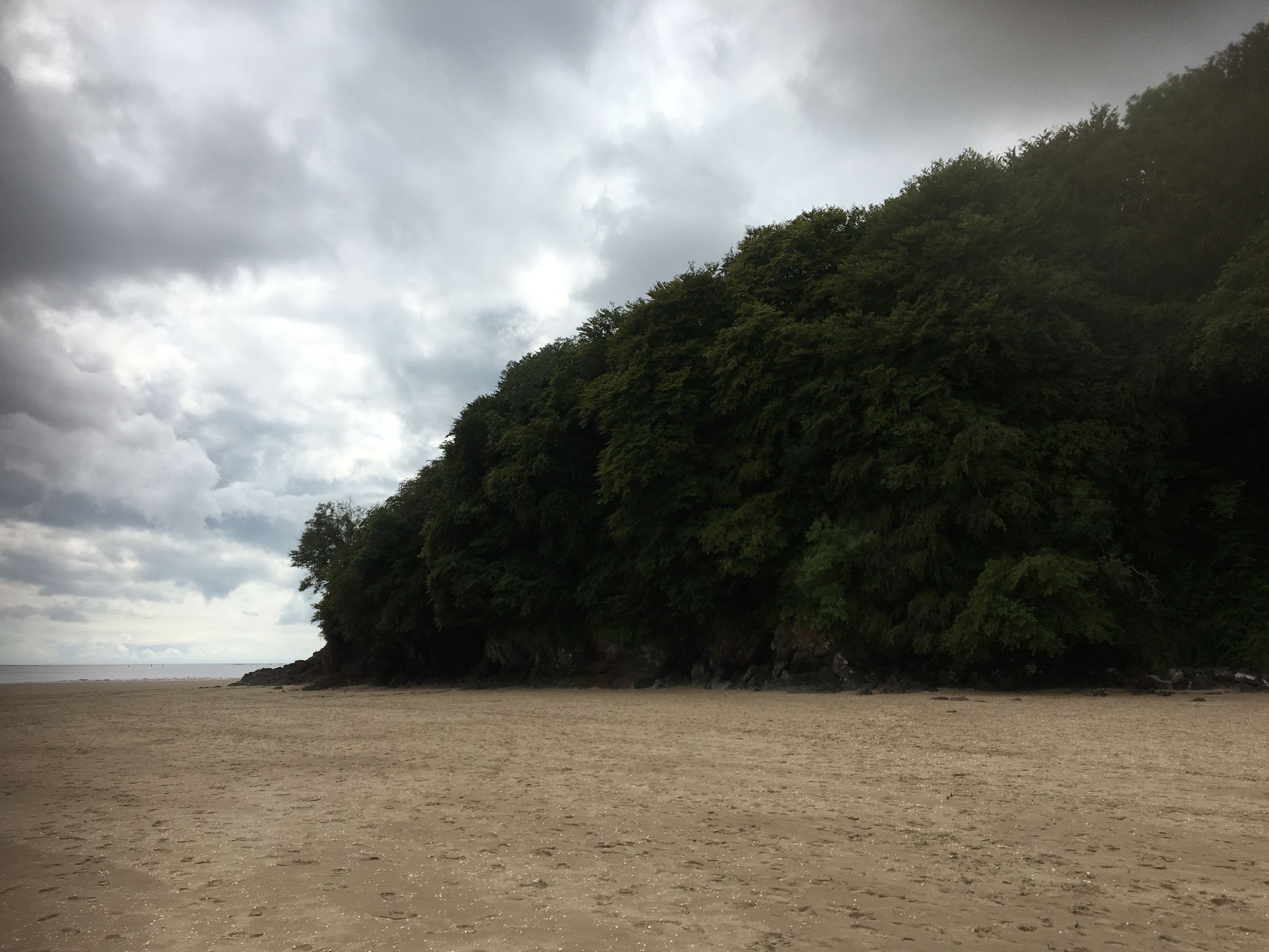 photo 11-08-2019, 14 37 39