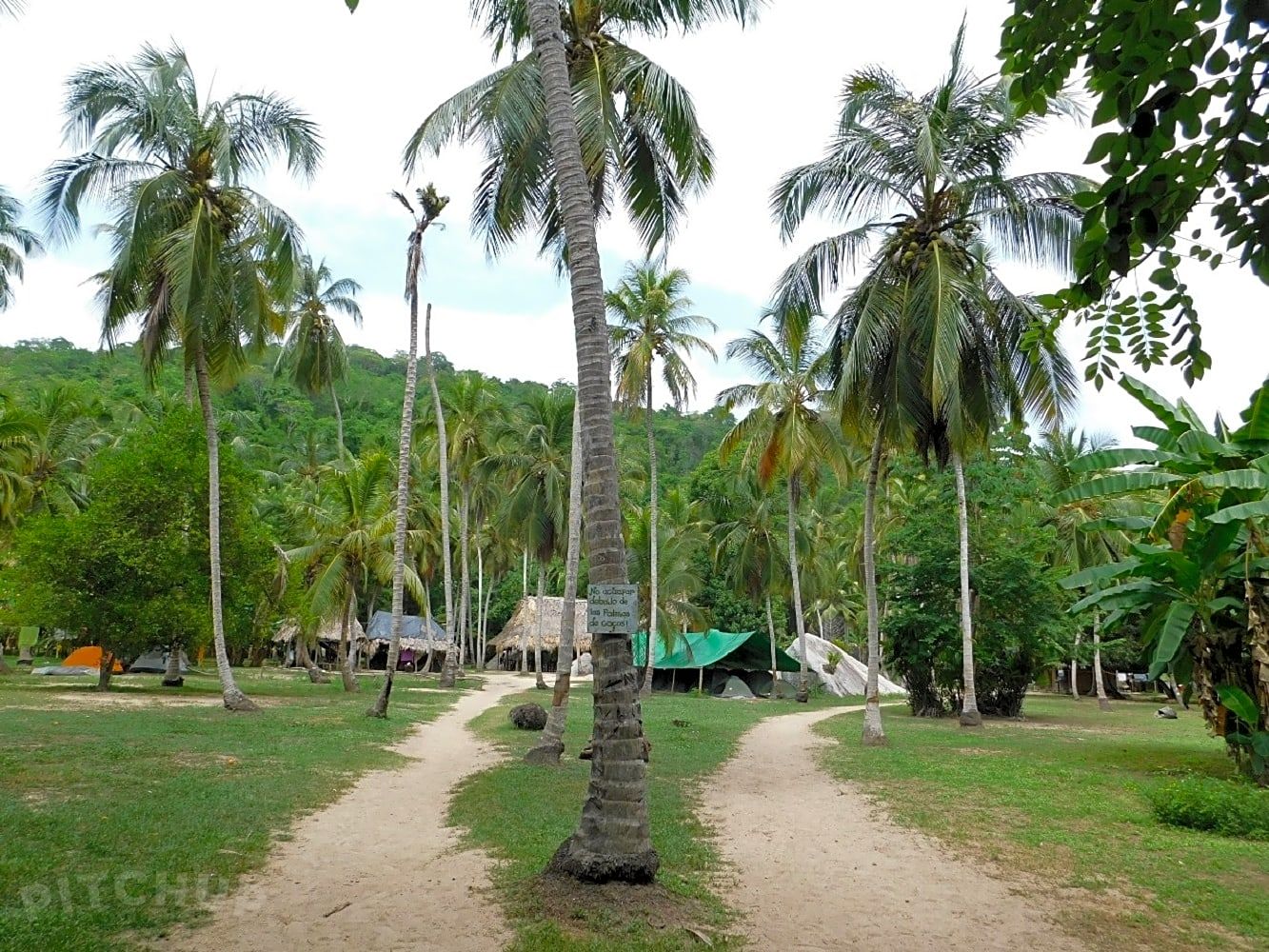 Don Pedro Camp at Tayrona (Photo credits to Pitchup)