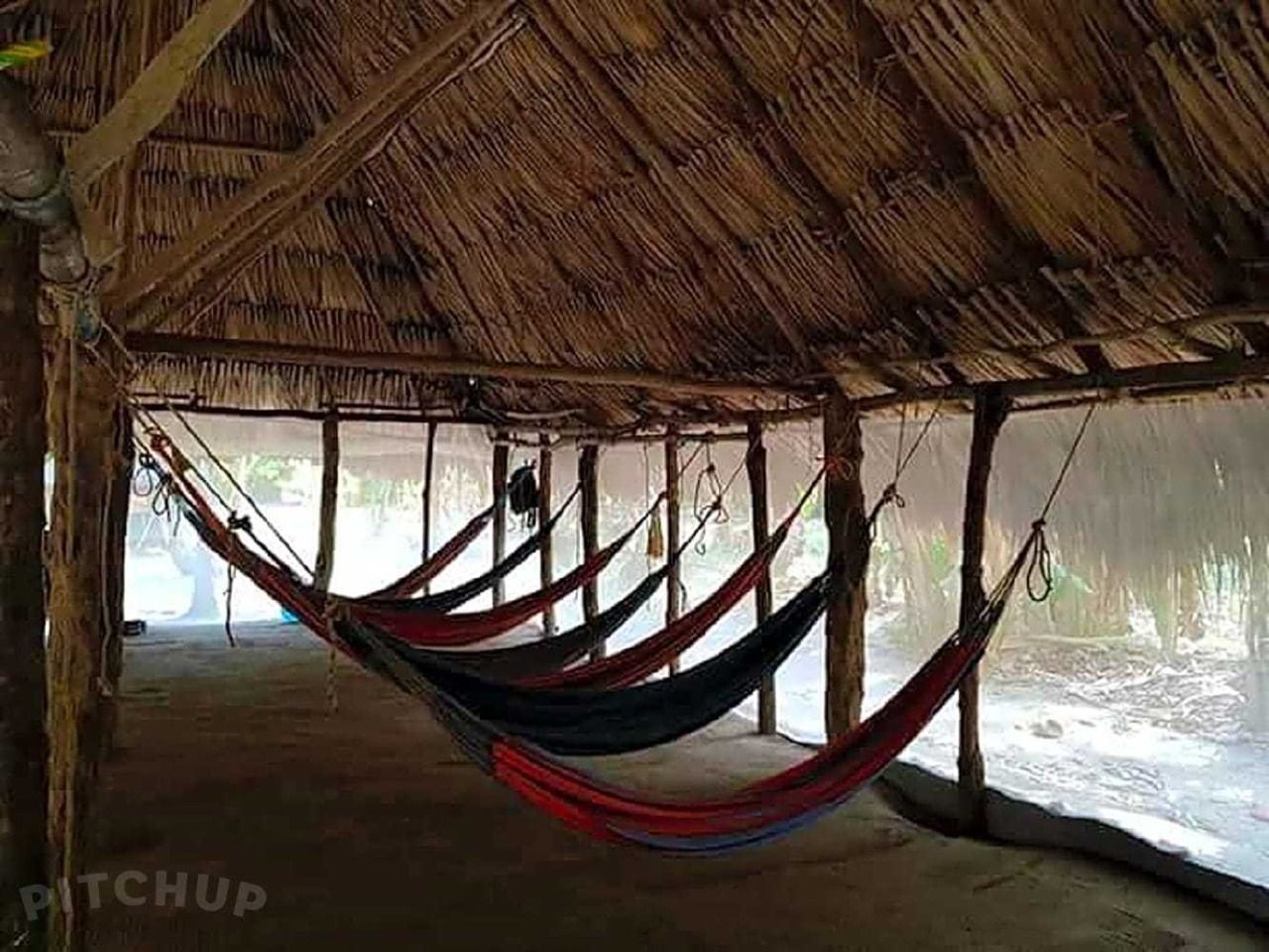 Hammocks at the camp (Photo credits to Pitchup)