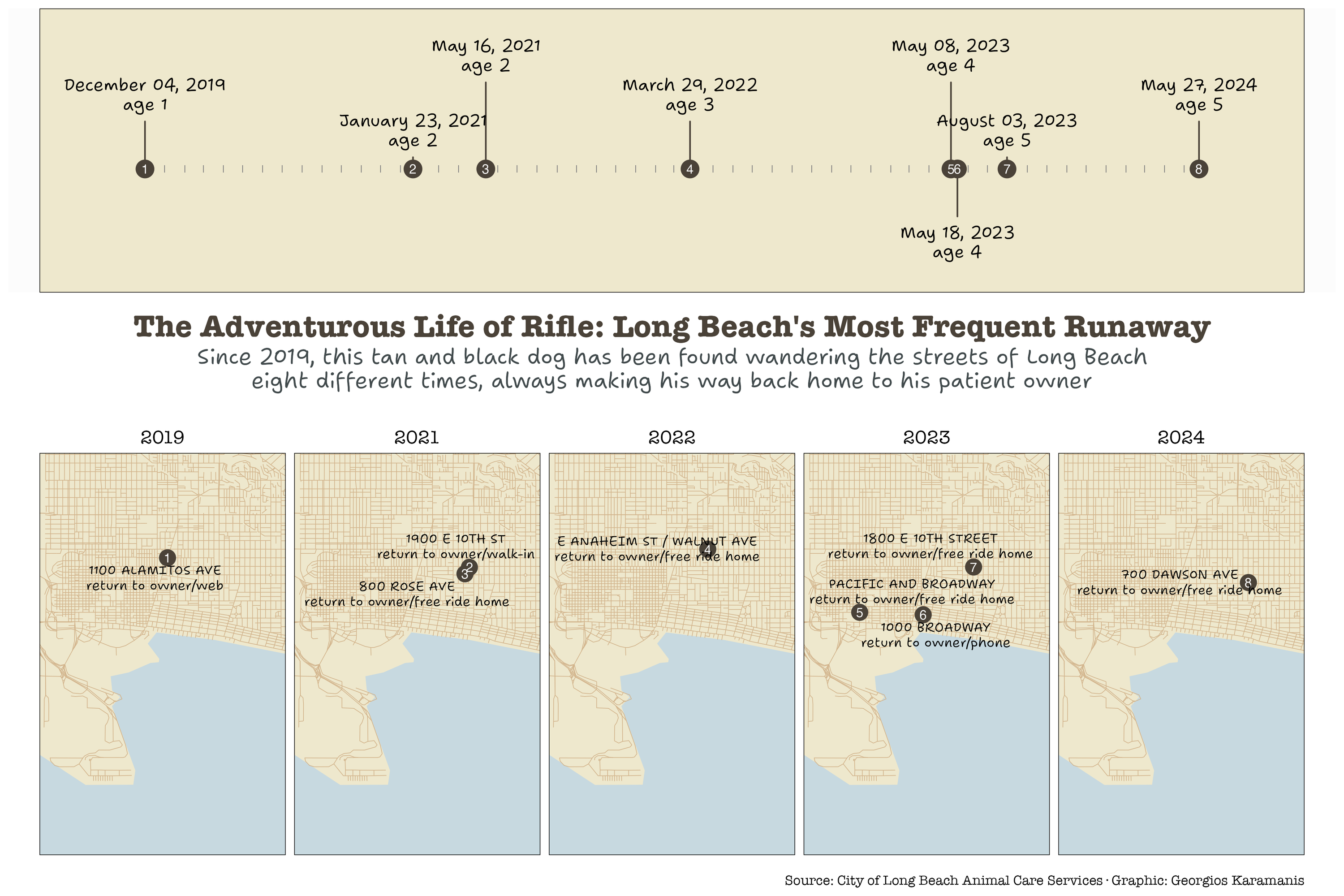 “The Adventurous Life of Rifle: Long Beach’s Most Frequent Runaway” - A two-panel visualization of a dog’s escape history. The top panel shows a timeline from 2019 to 2025 with eight points marking Rifle’s escape dates, each labeled with the dog’s age. The bottom panel displays a map of Long Beach divided into facets by year, showing the geographic locations where Rifle was found. Each location is marked with a numbered point and labeled with the street crossing and outcome (typically “return to owner”). The visualization reveals the pattern of a single dog repeatedly escaping and being returned to its owner over a four-year period across different areas of Long Beach, using a soft color palette of cornsilk, tan, and light blue.