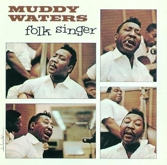 Muddy Waters - Folk Singer