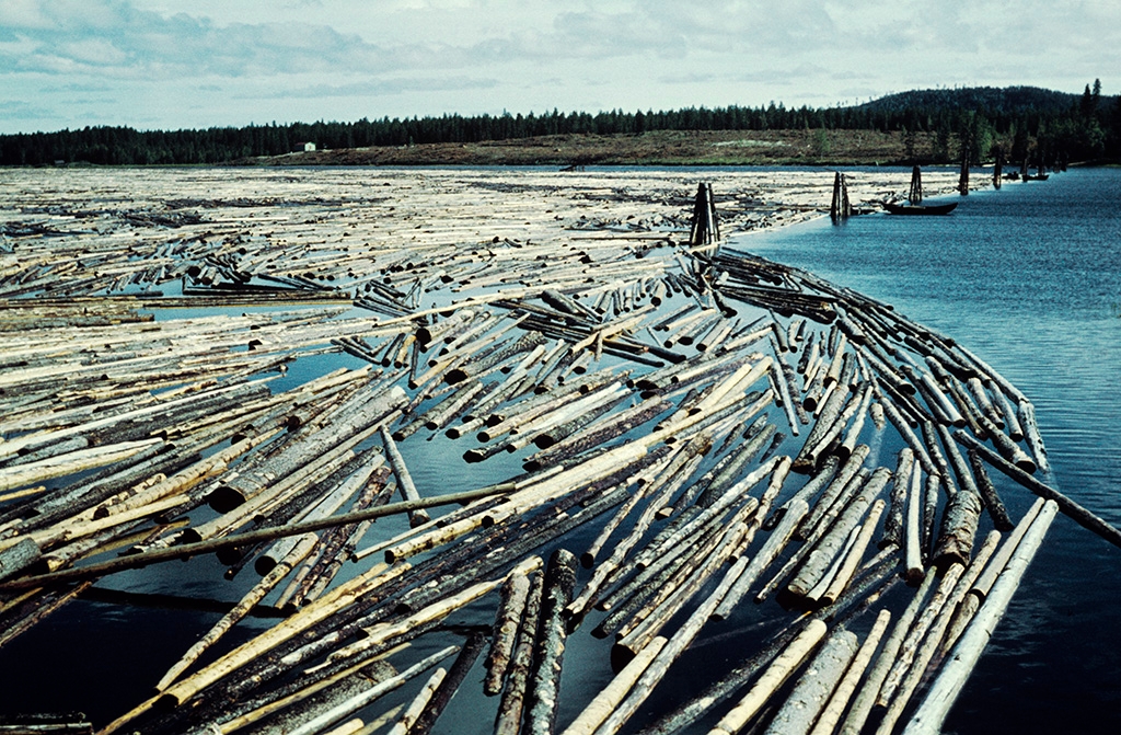 logs in ngermanlven river