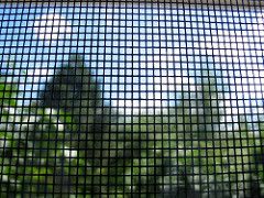 Looking Through a Screen