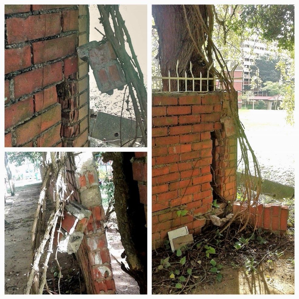 resized bricktree2