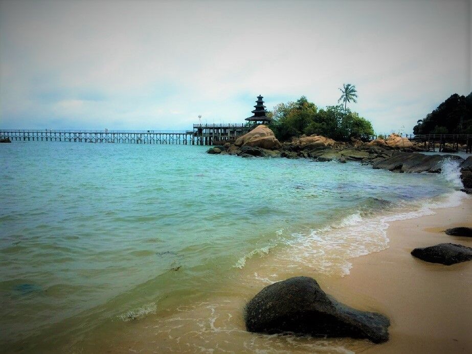 seaturi