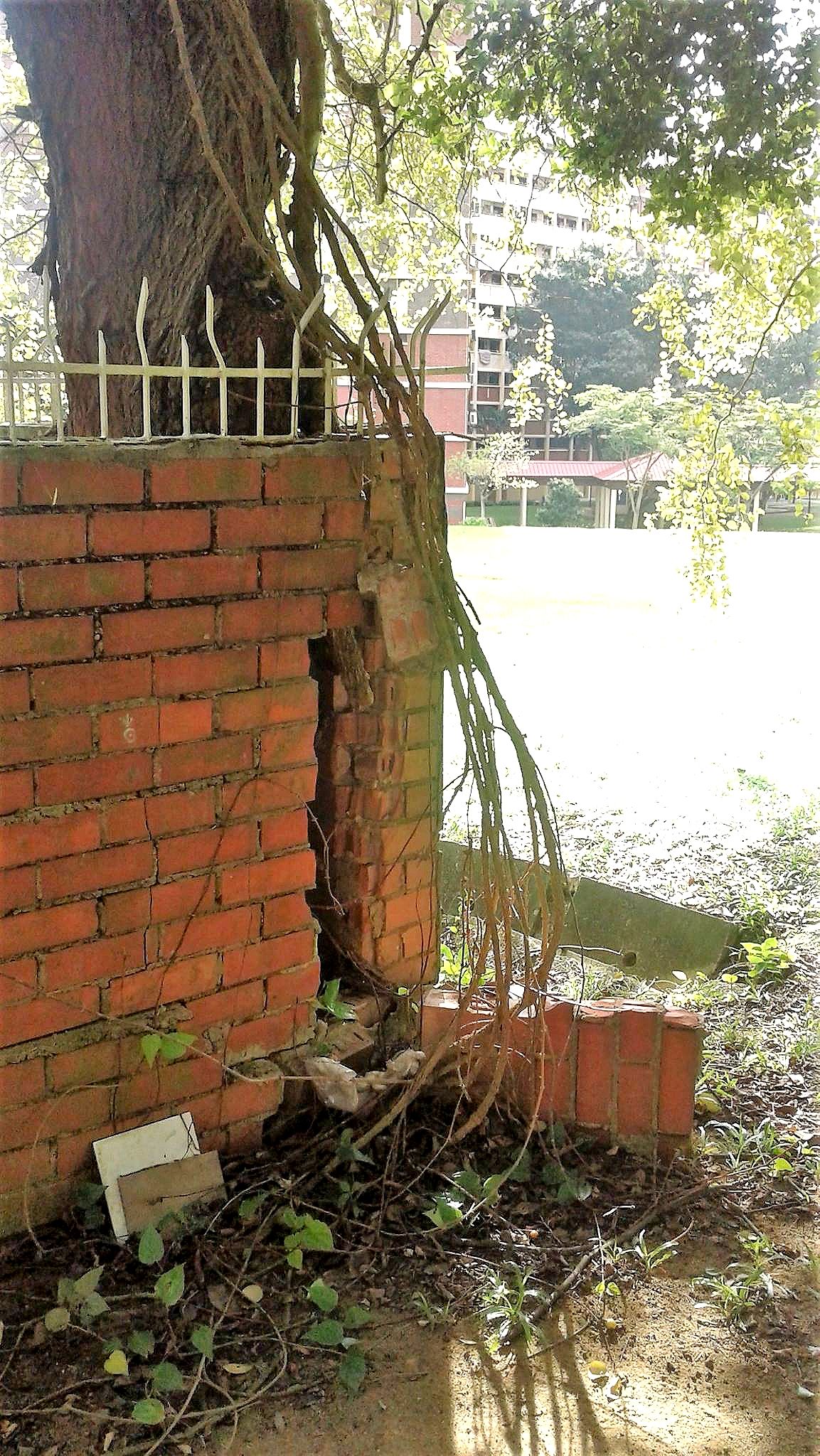 bricktree