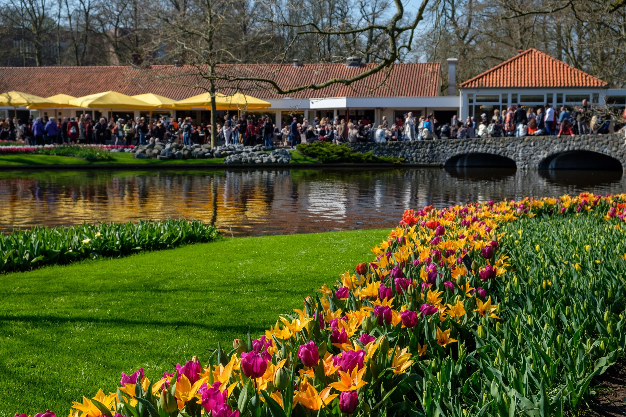 20230408-keukenhof-028-sketches