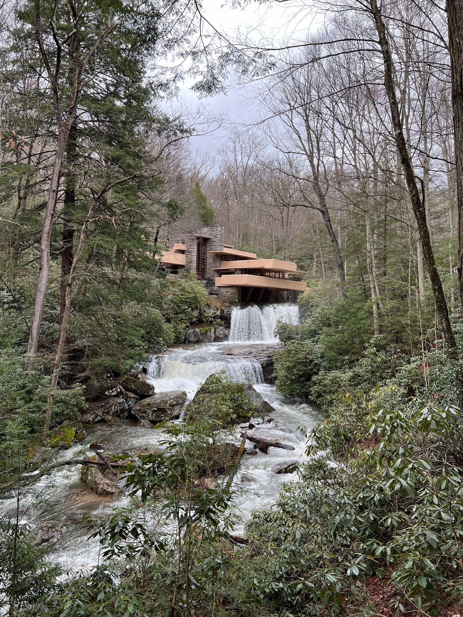 fallingwater from afar