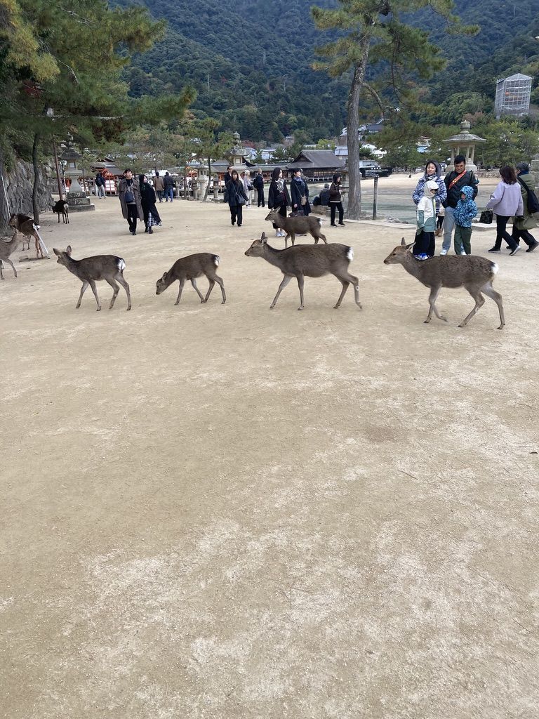 Oh deer!