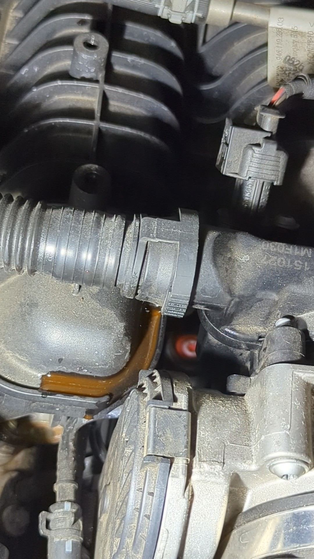 Note the puddle of red coolant on-top of the screw.