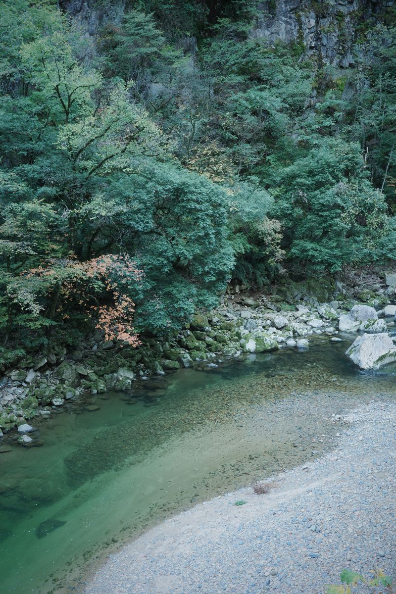 R0000883