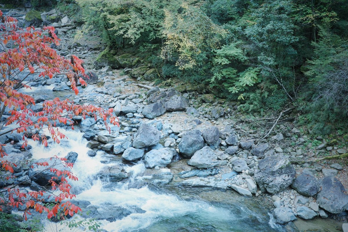 R0000884