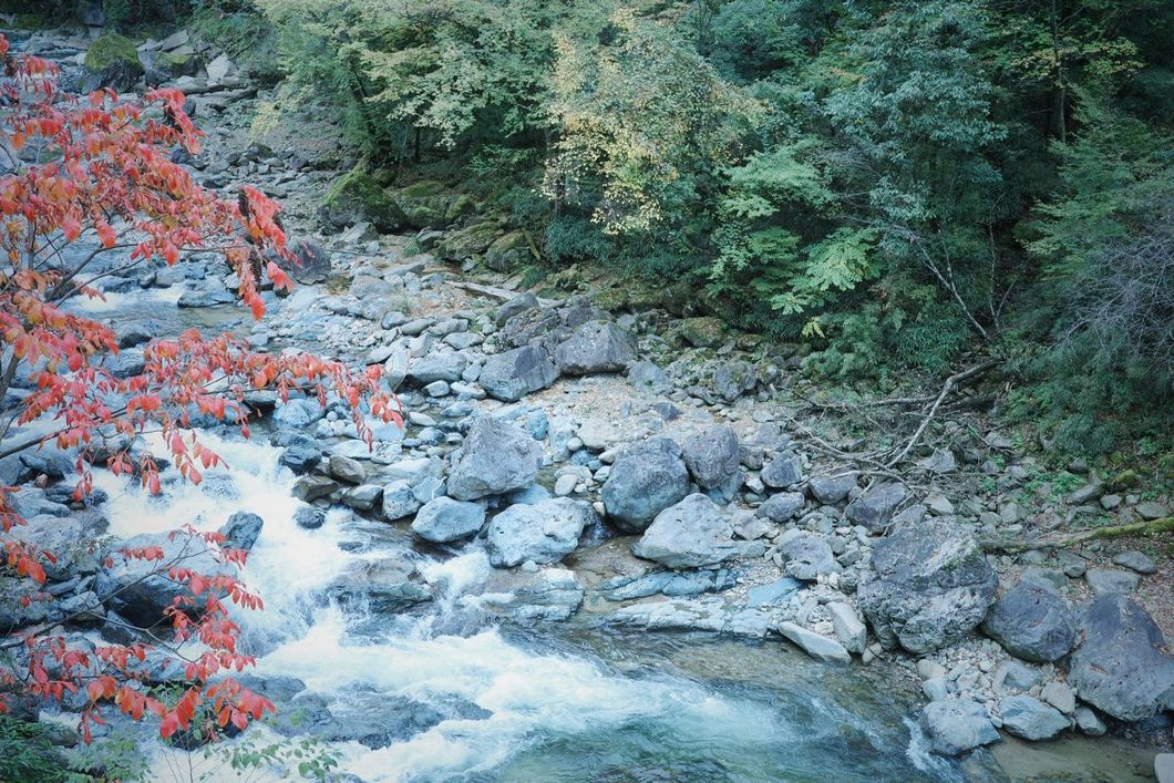R0000884