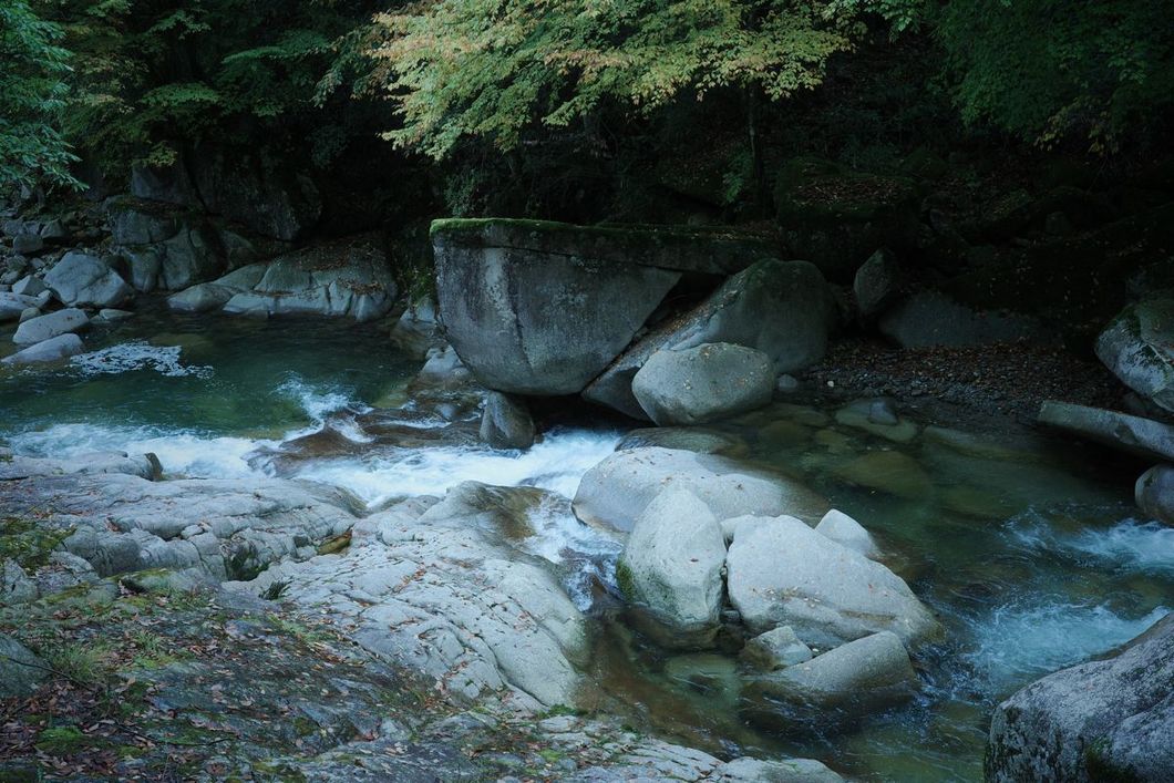 R0000885