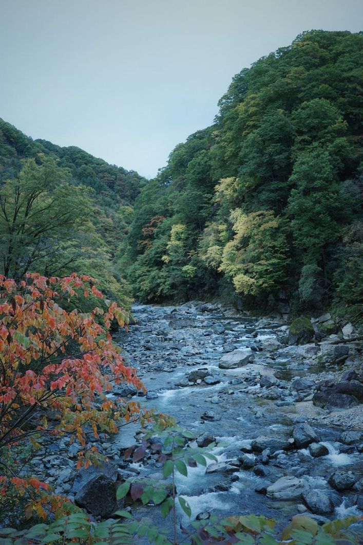 R0000882