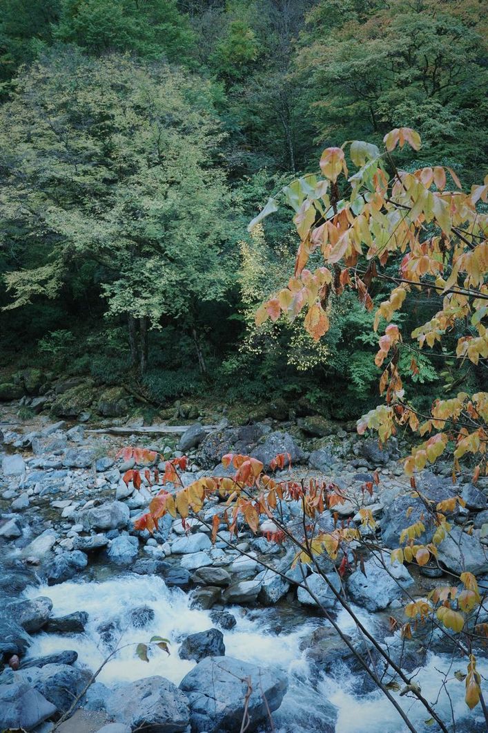 R0000879