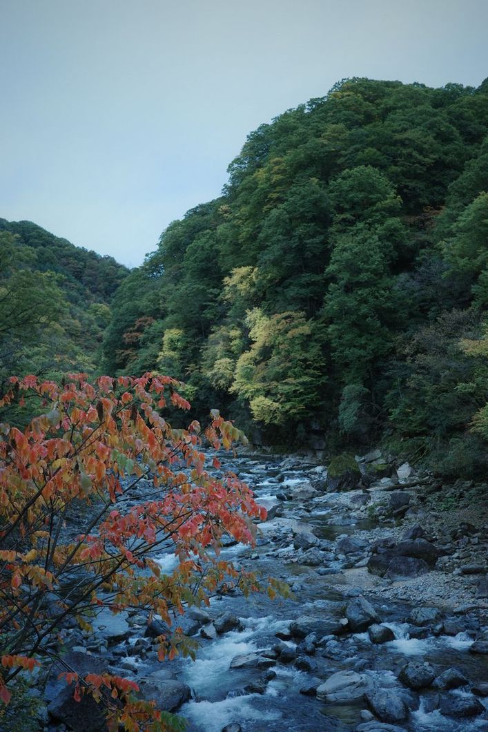 R0000880