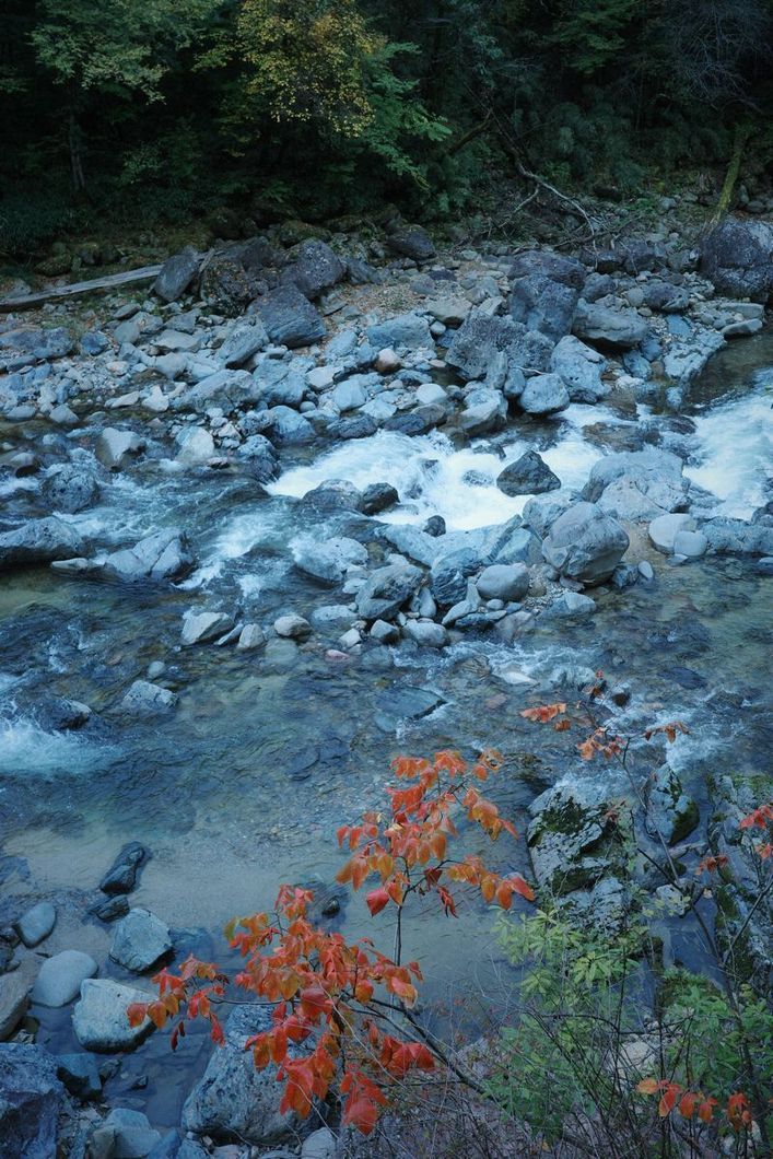 R0000878
