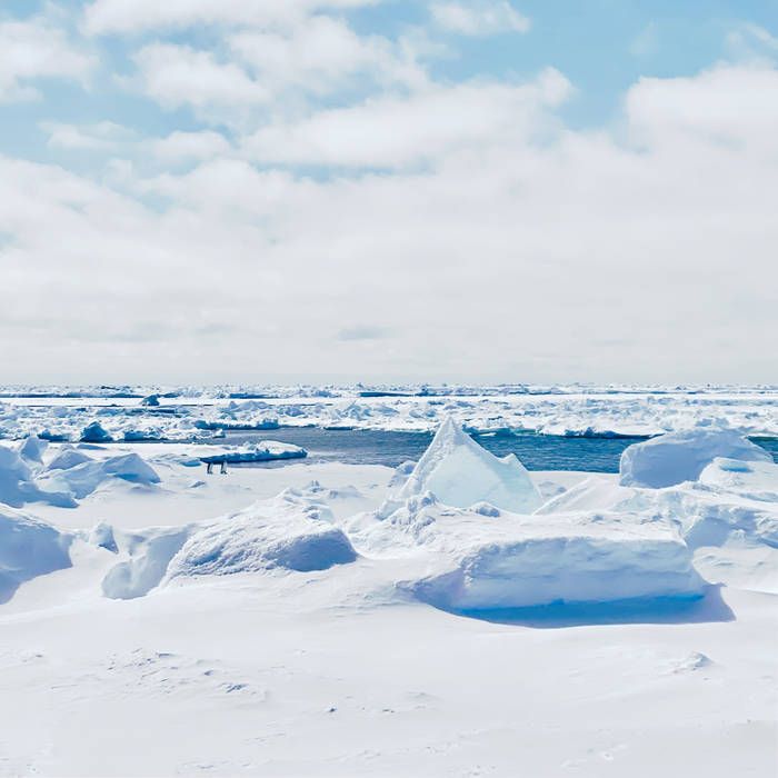 Antarctica by glasbird