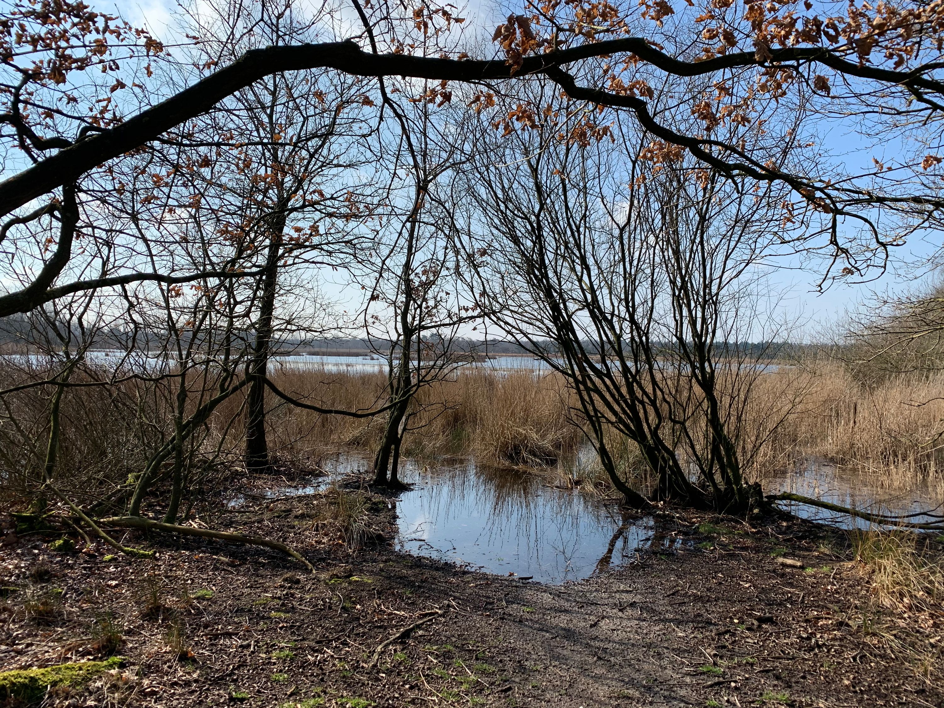 Wandeling Groen Weekend 2020