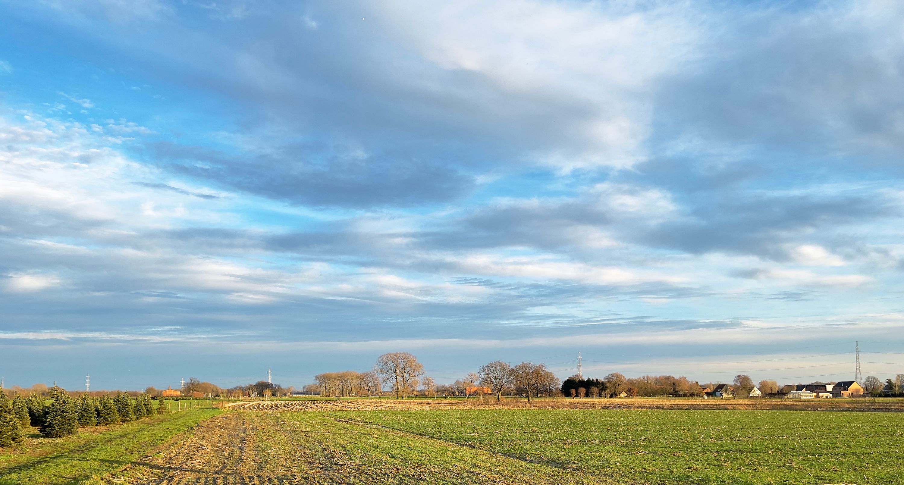 Nieuwjaarswandeling in Vremde - 1