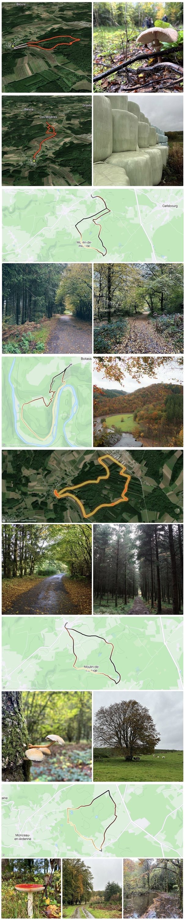 Strava collection, a number of routes with some small pics