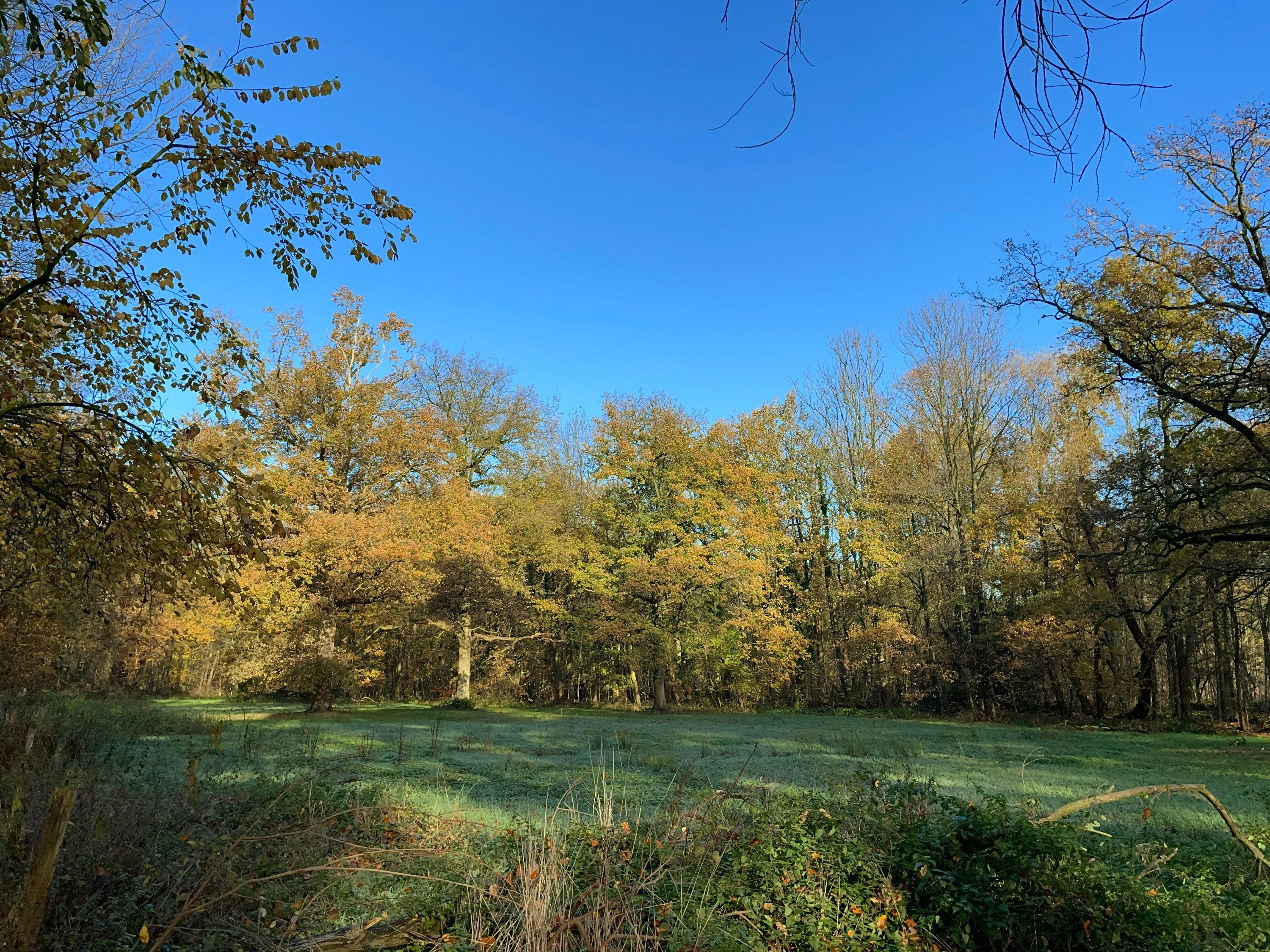 Mooi weer in Edegem