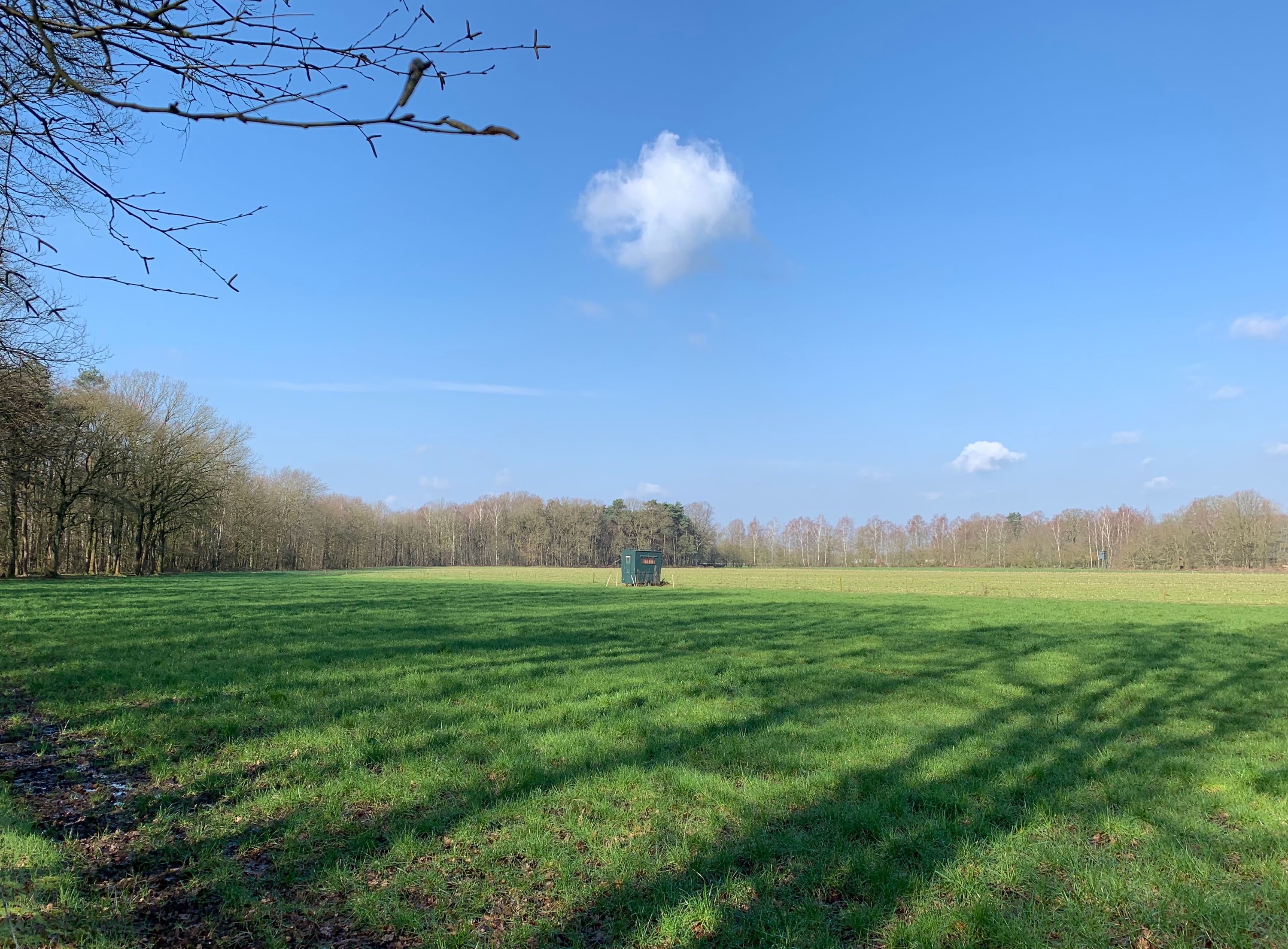 Wandeling Groen Weekend 2020