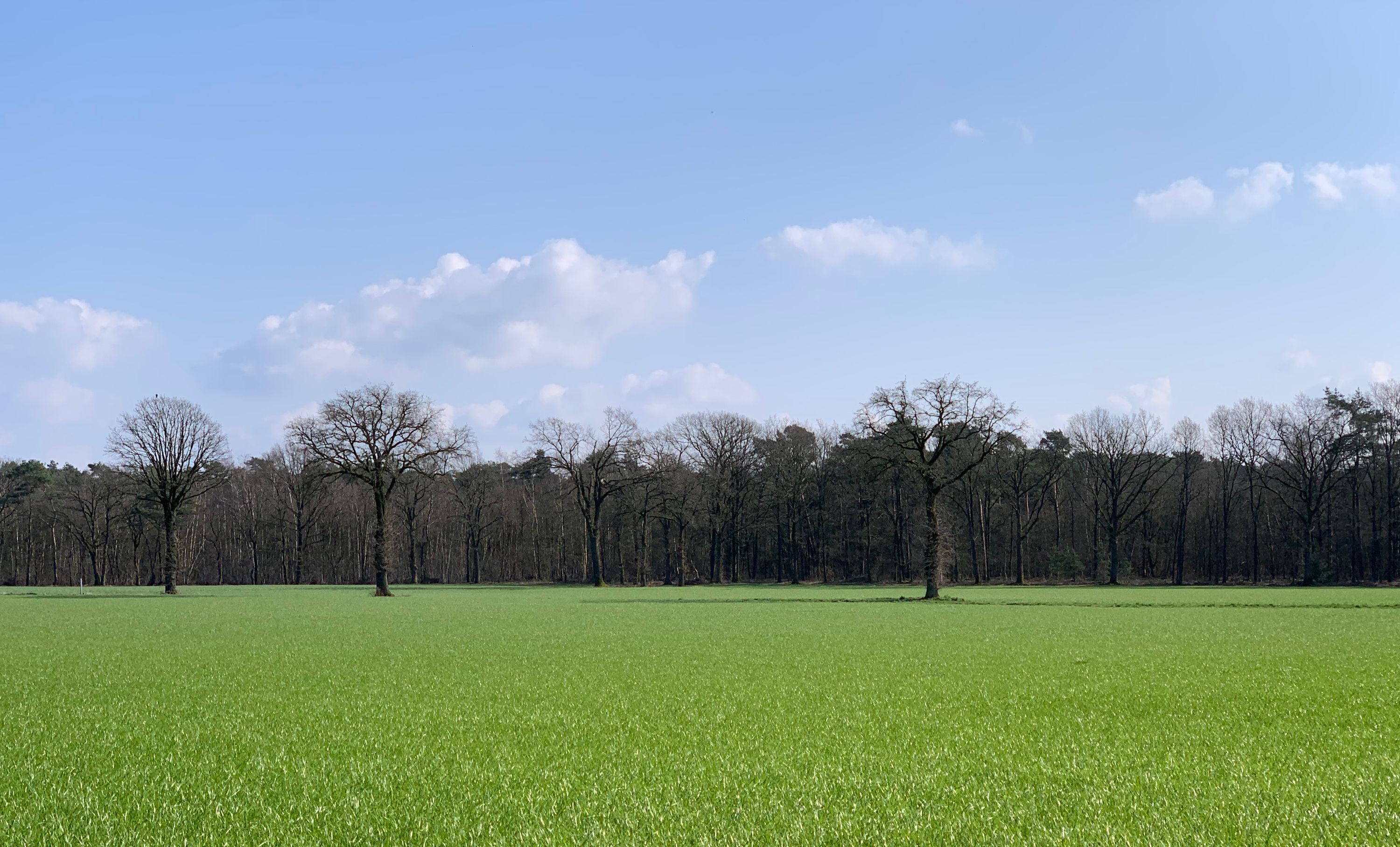 Wandeling Groen Weekend 2020