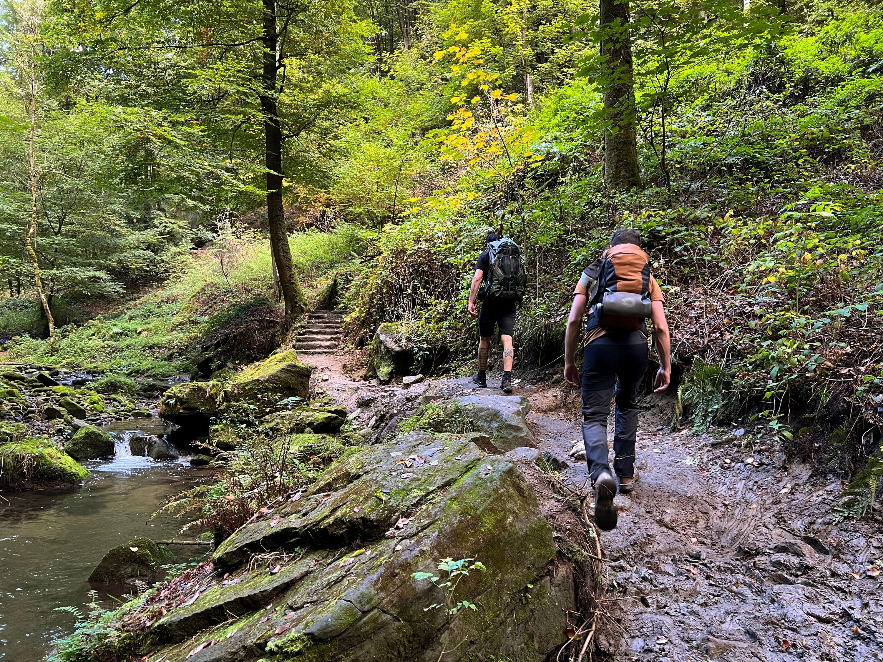 Een stukje Mullerthal Trail