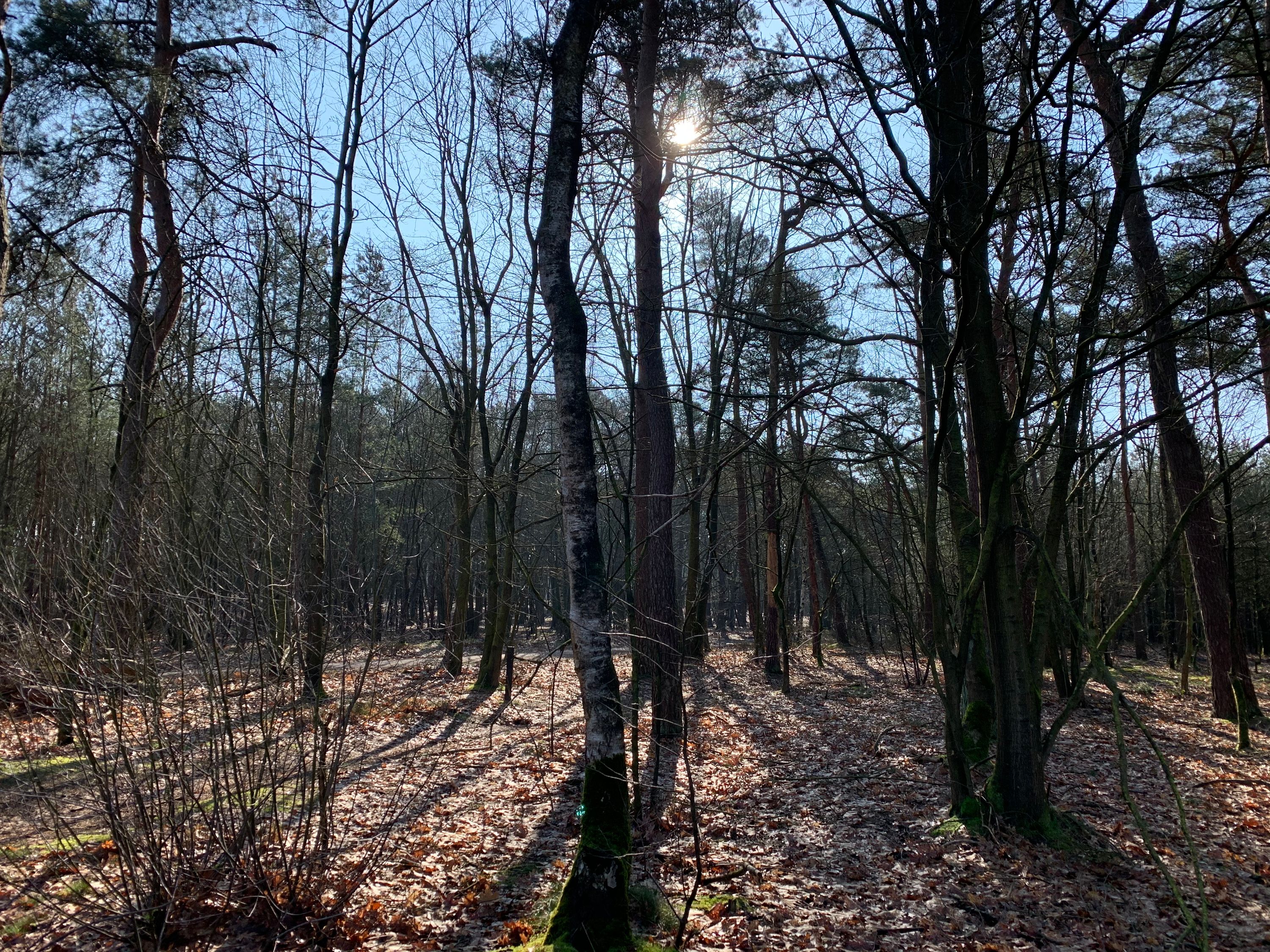 Wandeling Groen Weekend 2020