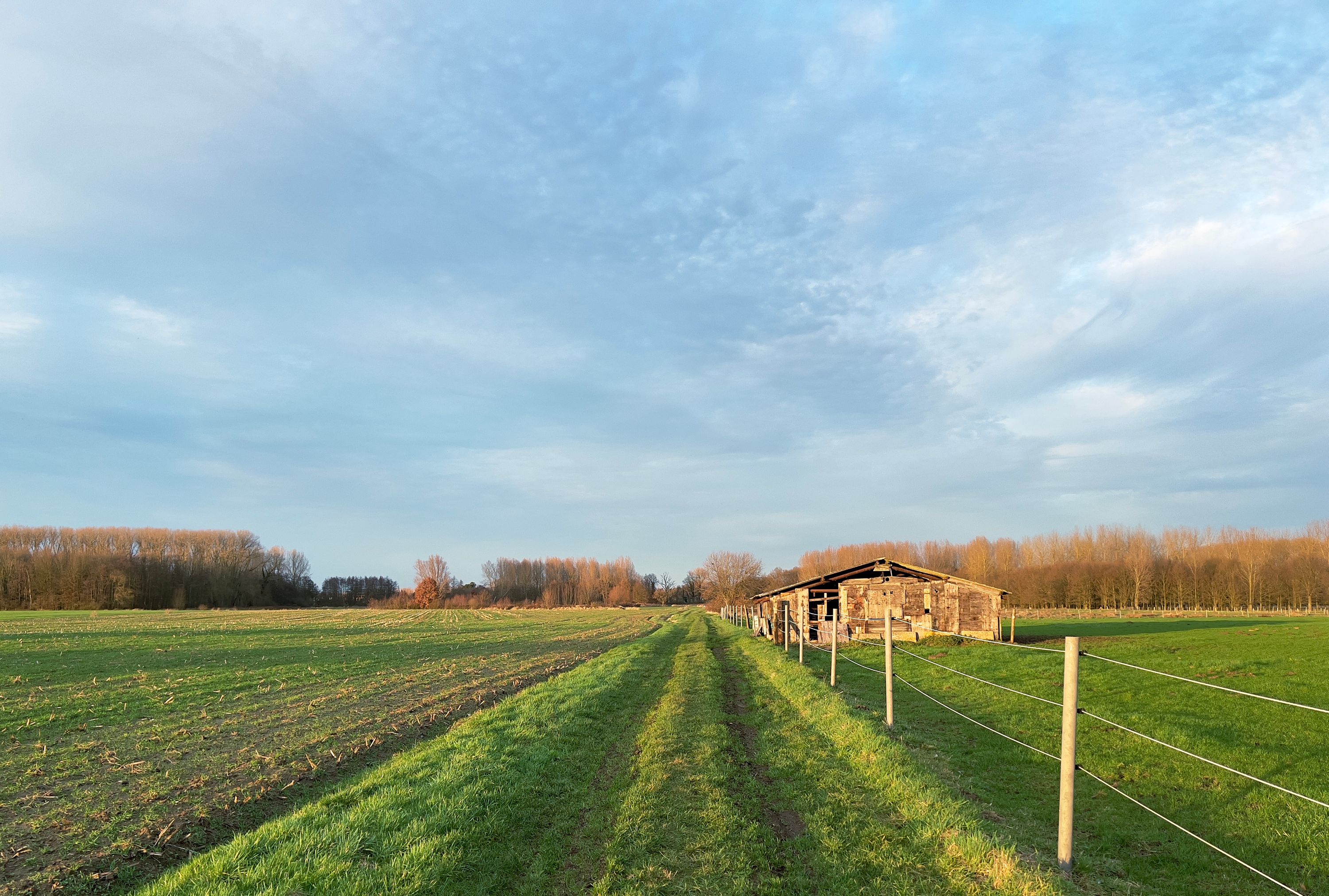 Nieuwjaarswandeling in Vremde - 2