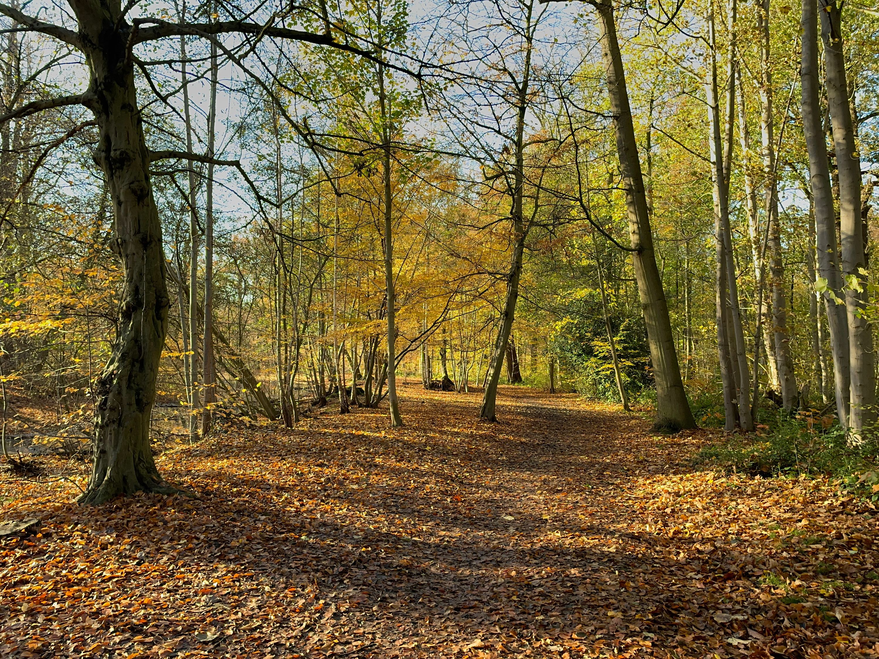 Mooi weer in Edegem