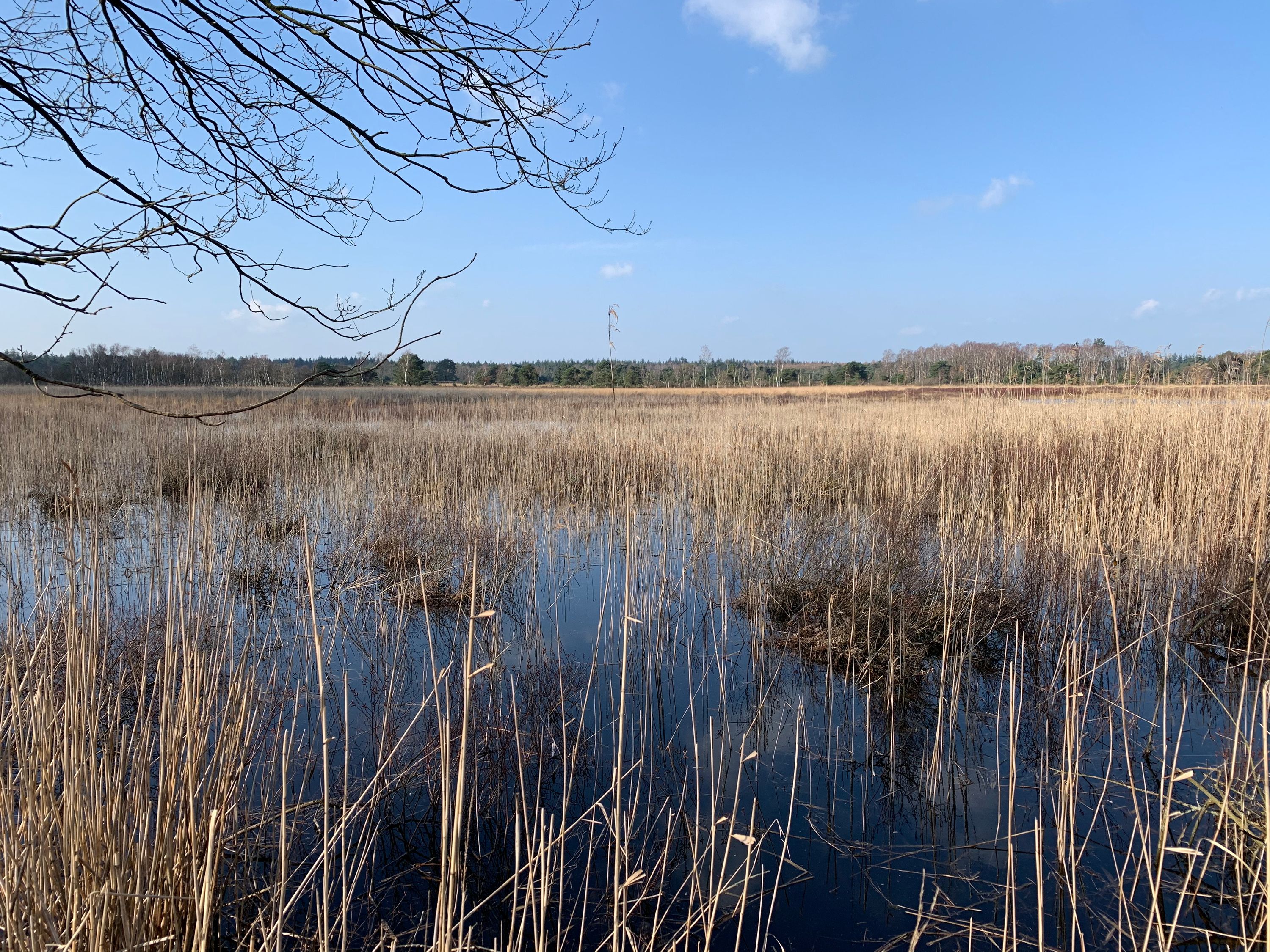 Wandeling Groen Weekend 2020