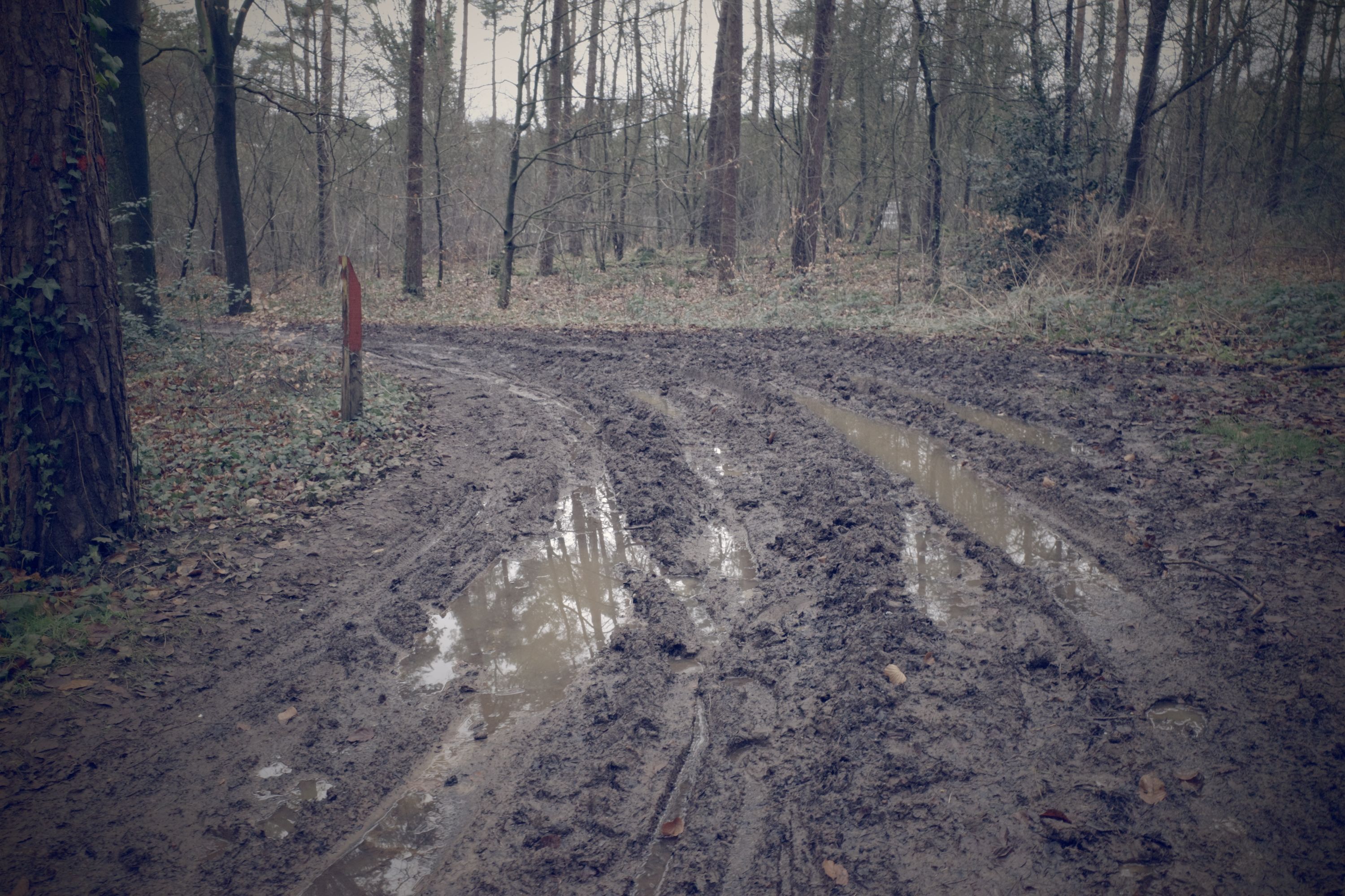 Wandelen in Vorselaar