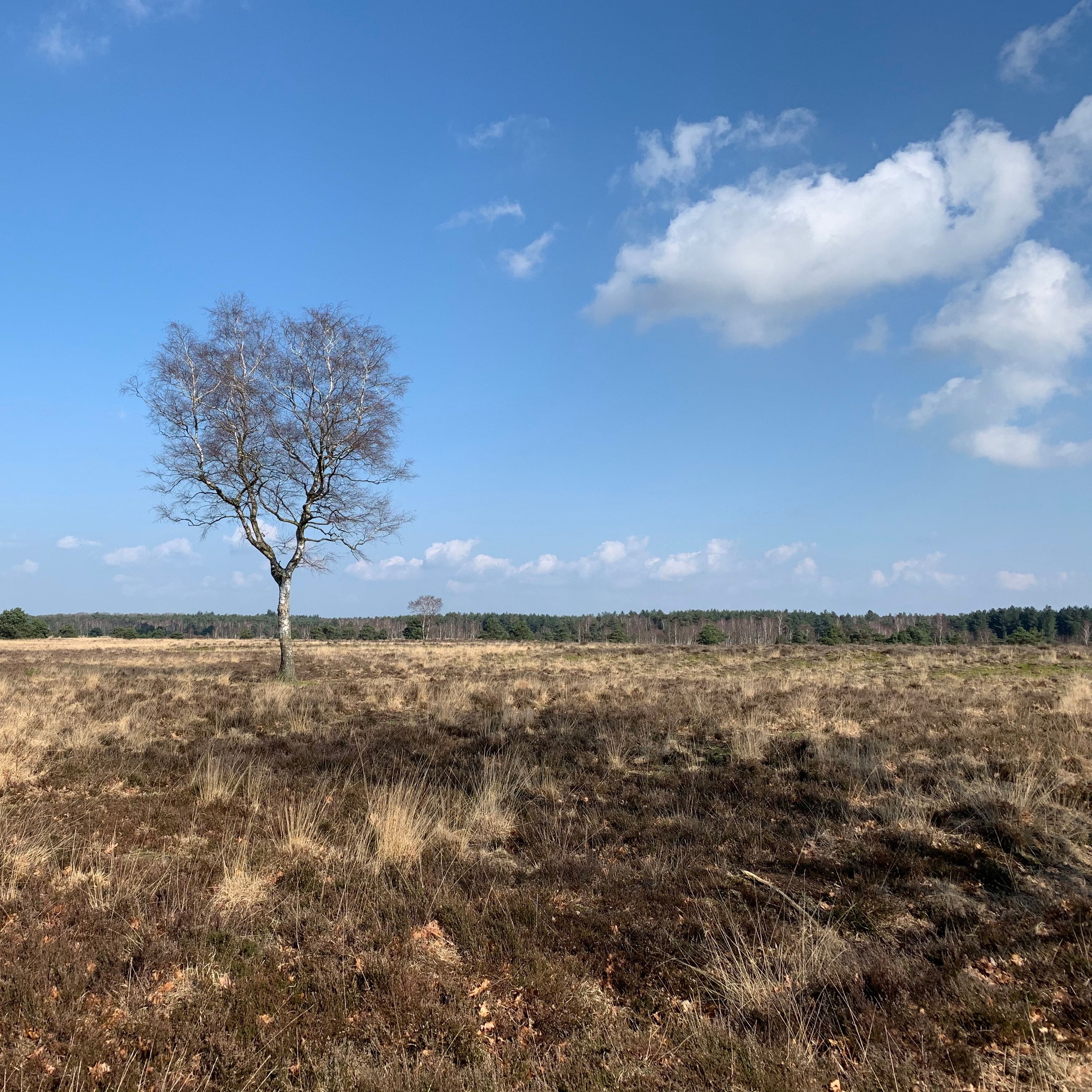 Wandeling Groen Weekend 2020