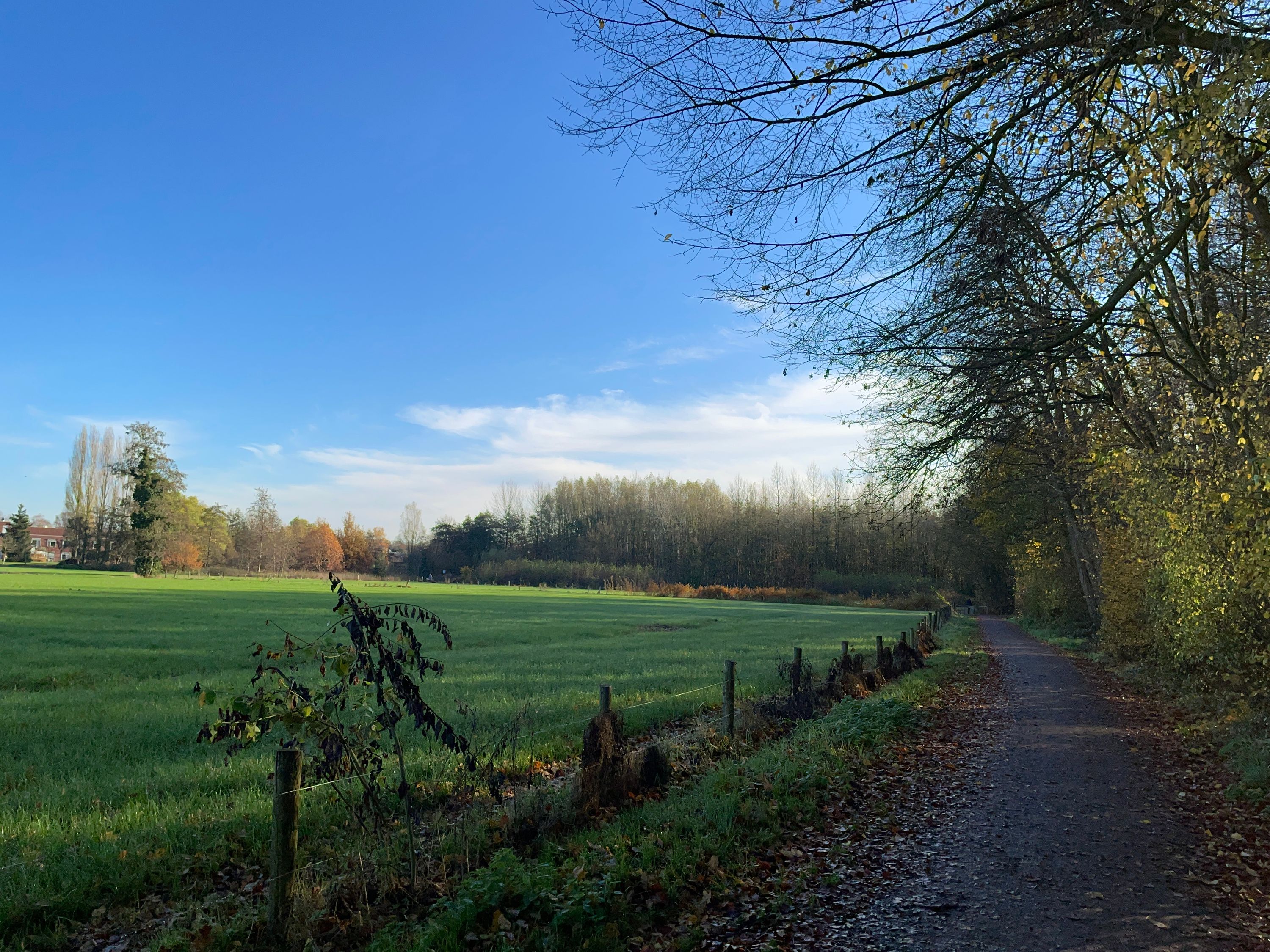 Mooi weer in Edegem