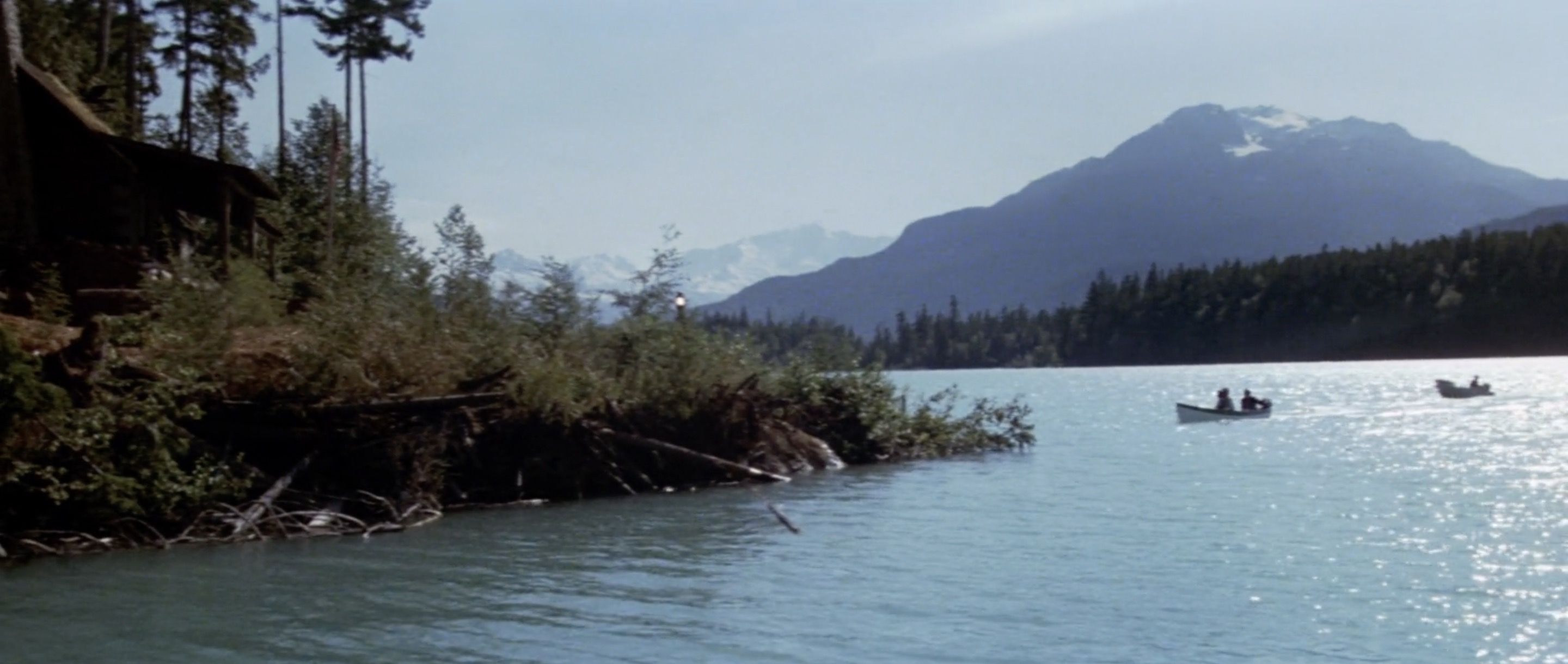 I didn’t have a place for this, but I need to note how they fly in this doctor and his wife from D.C. in order to help, and then drive them away from the town, then ten miles through a forest on dirt roads AND THEN they use a boat to cross a lake to an isolated cabin on the other side that doesn’t have a phone. There’s a lot of stupid, incomprehensible stuff in this movie, but this might be the tip-top.