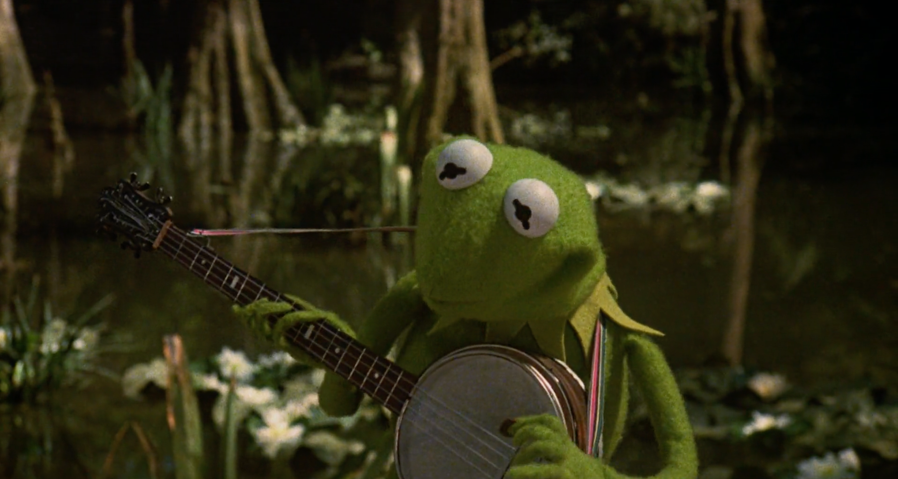 Wanted to find a shot where Kermit looks at his hand on the frets, like people do when they play stringed instruments.