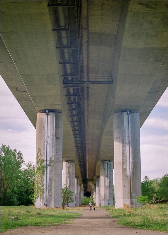 Under South Belvidere Street