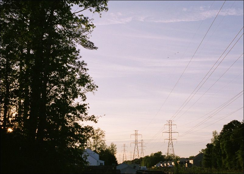 Sun Setting Behind Trees