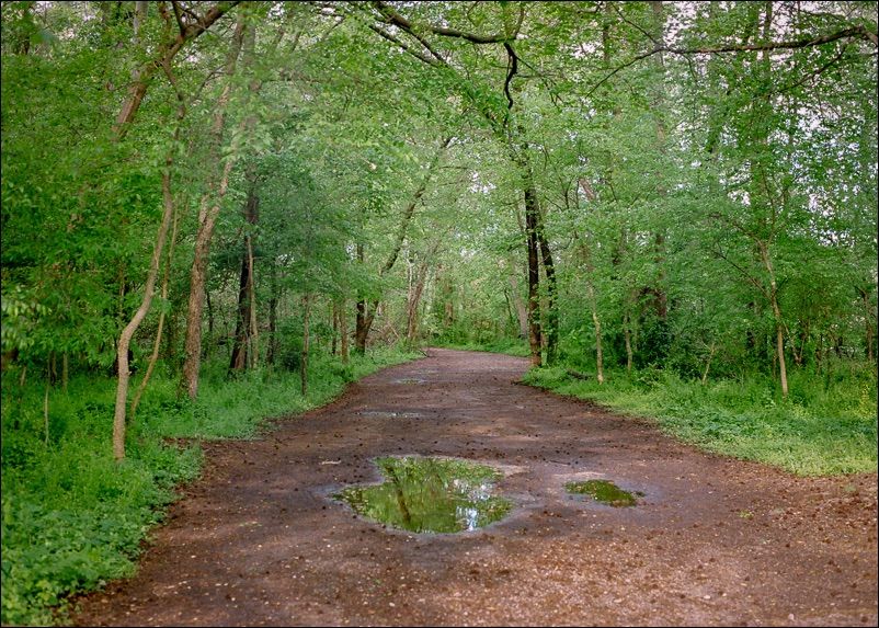 Wide trail