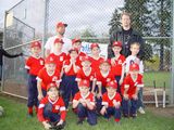 The SellsBrothers Little League Team