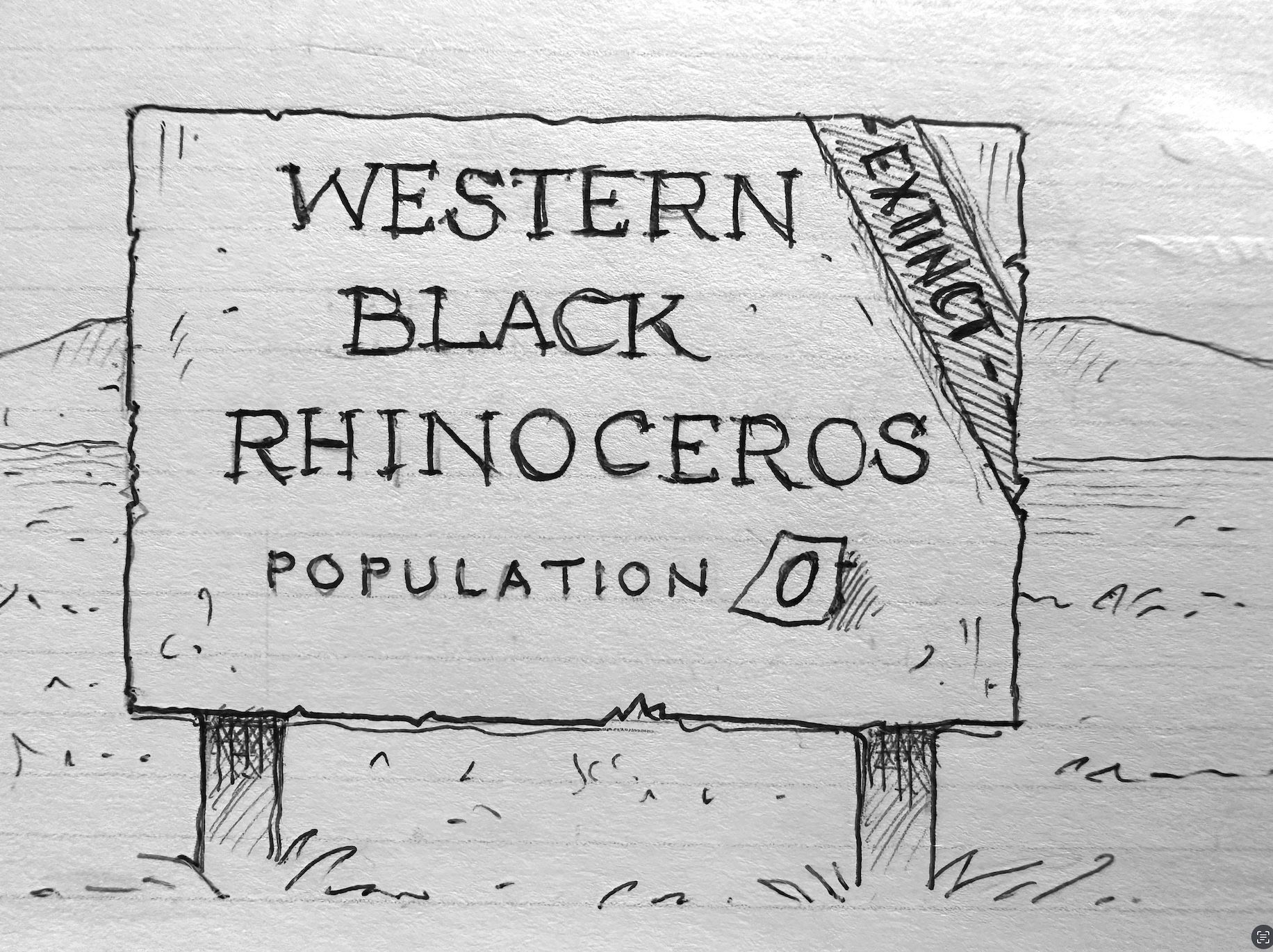 Illustration of a sign declaring the “Western Black Rhinoceros” as extinct, with a population count of 0. Grass and hills can be seen in the background.