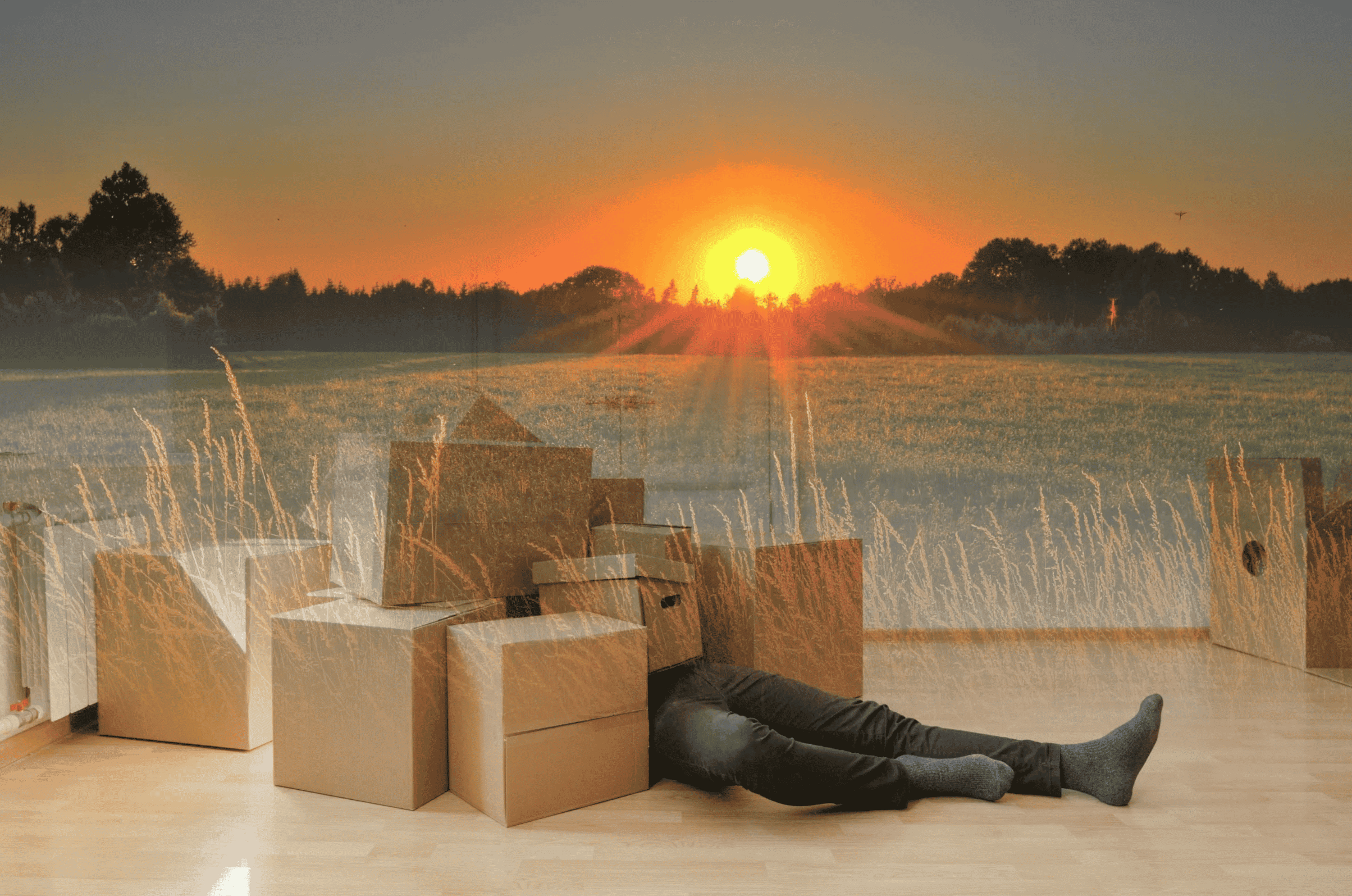 A golden sunset shines over a person lying on the ground, half buried in cardboard boxes. Photo of sunset by Jonathan Petersson, photo of boxes by cottonbro, both from Pexels. Images combined by Ellane.