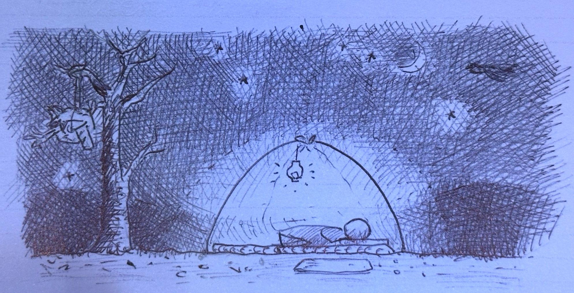 A sketch of a serene nighttime scene featuring a person sleeping inside a cozy dome. There is a tree nearby, and the sky is filled with stars and a crescent moon, creating a tranquil atmosphere.