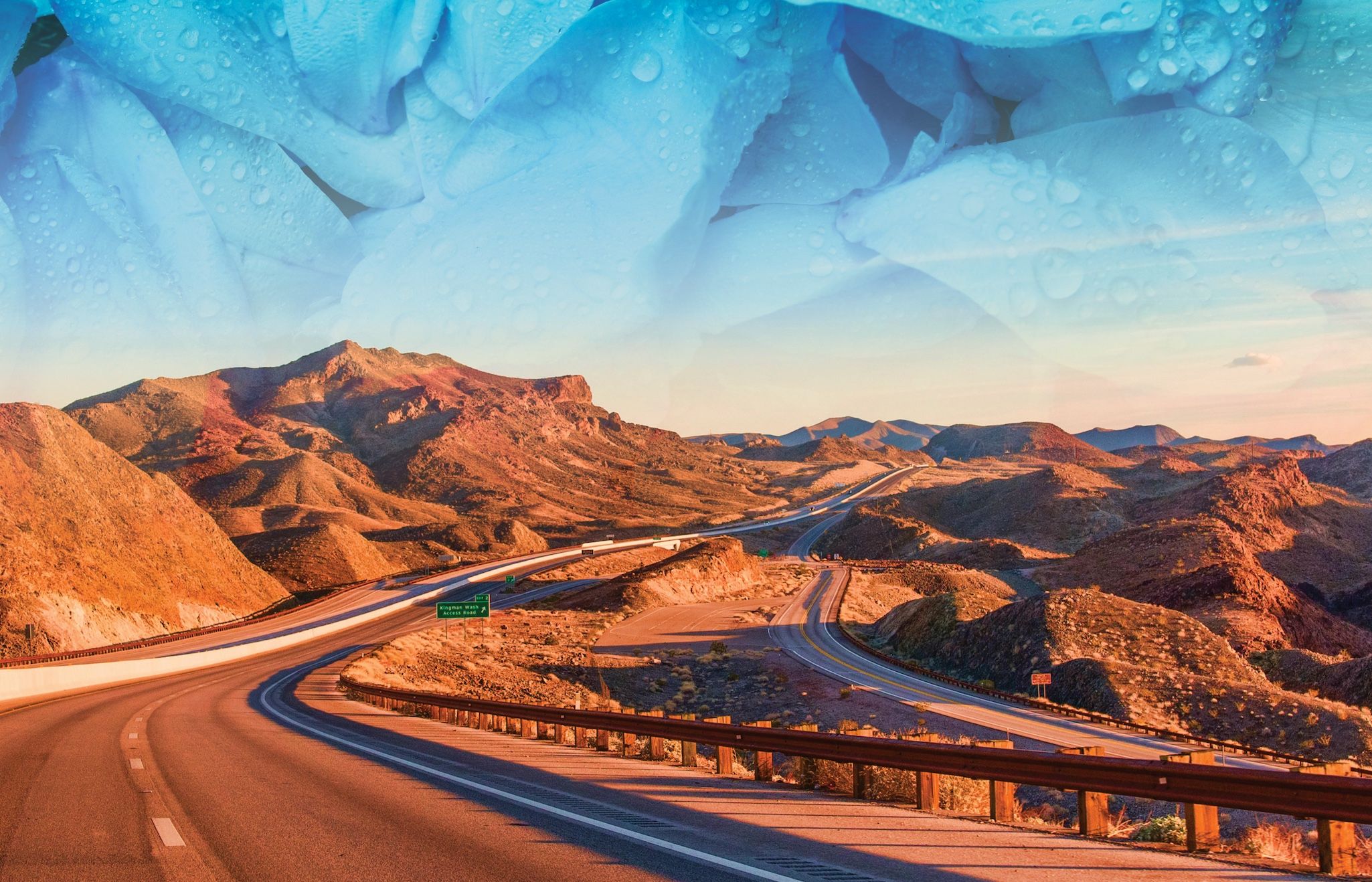 Photo of dewy, cool blue giant flower petals overlaid onto the sky of a rich ochre coloured highway running through the desert