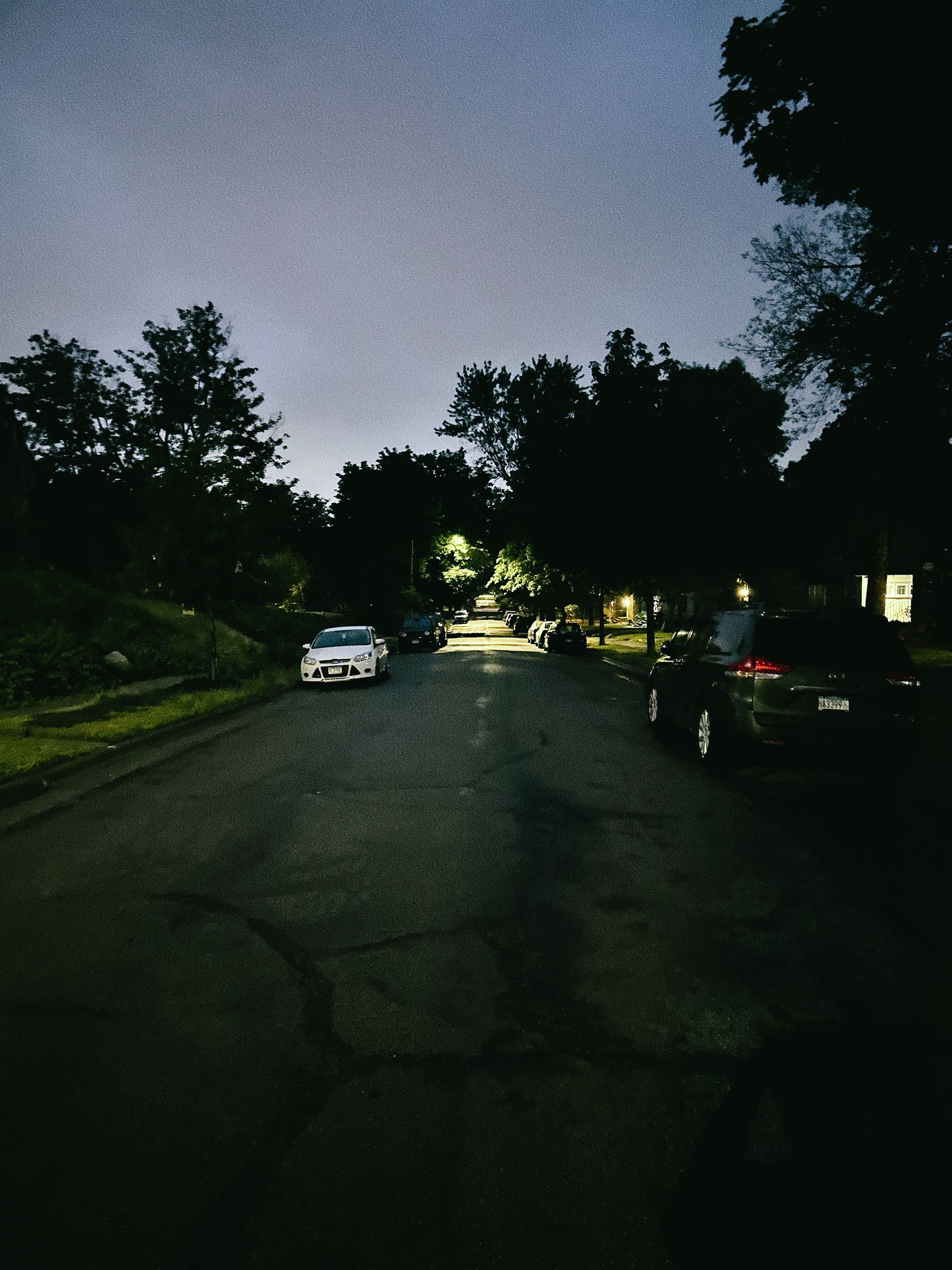 Good Morning Walk - 2